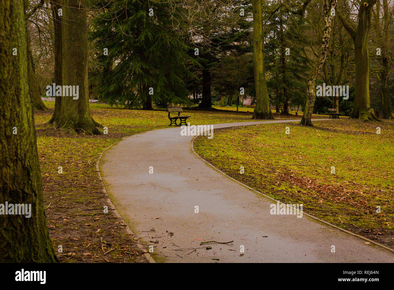 Herbst-Spaziergang im park Stockfoto
