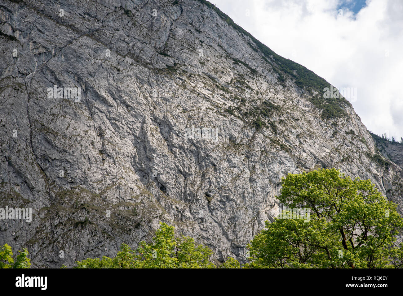 Texturierte Steinmauer eines Berges in den Alpen im Frühjahr Stockfoto