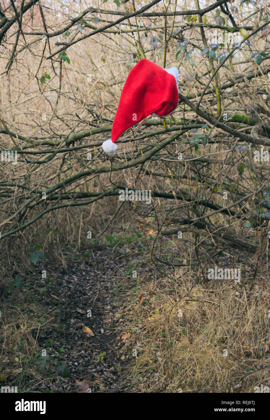 Santa Claus Hut, auf einem Zweig Stockfoto