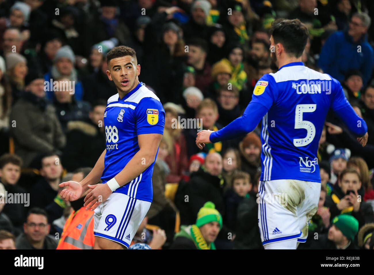 18. November 2019, Carrow Road, Norfolk, England; Sky Bet Meisterschaft, Norwich City vs Birmingham City; Che Adams (09) von Birmingham feiert Nivellierung der Kerben zu 1-1. Credit: Georgie Kerr/News Bilder der Englischen Football League Bilder unterliegen DataCo Lizenz Stockfoto