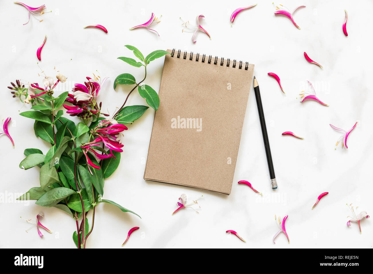 Leere vintage Notizbuch aus Papier im Rahmen der rosa Geißblatt Blumen auf weißem Marmor tisch mit Kopie Platz gemacht. Blüte Zusammensetzung. top anzeigen. Flach Stockfoto