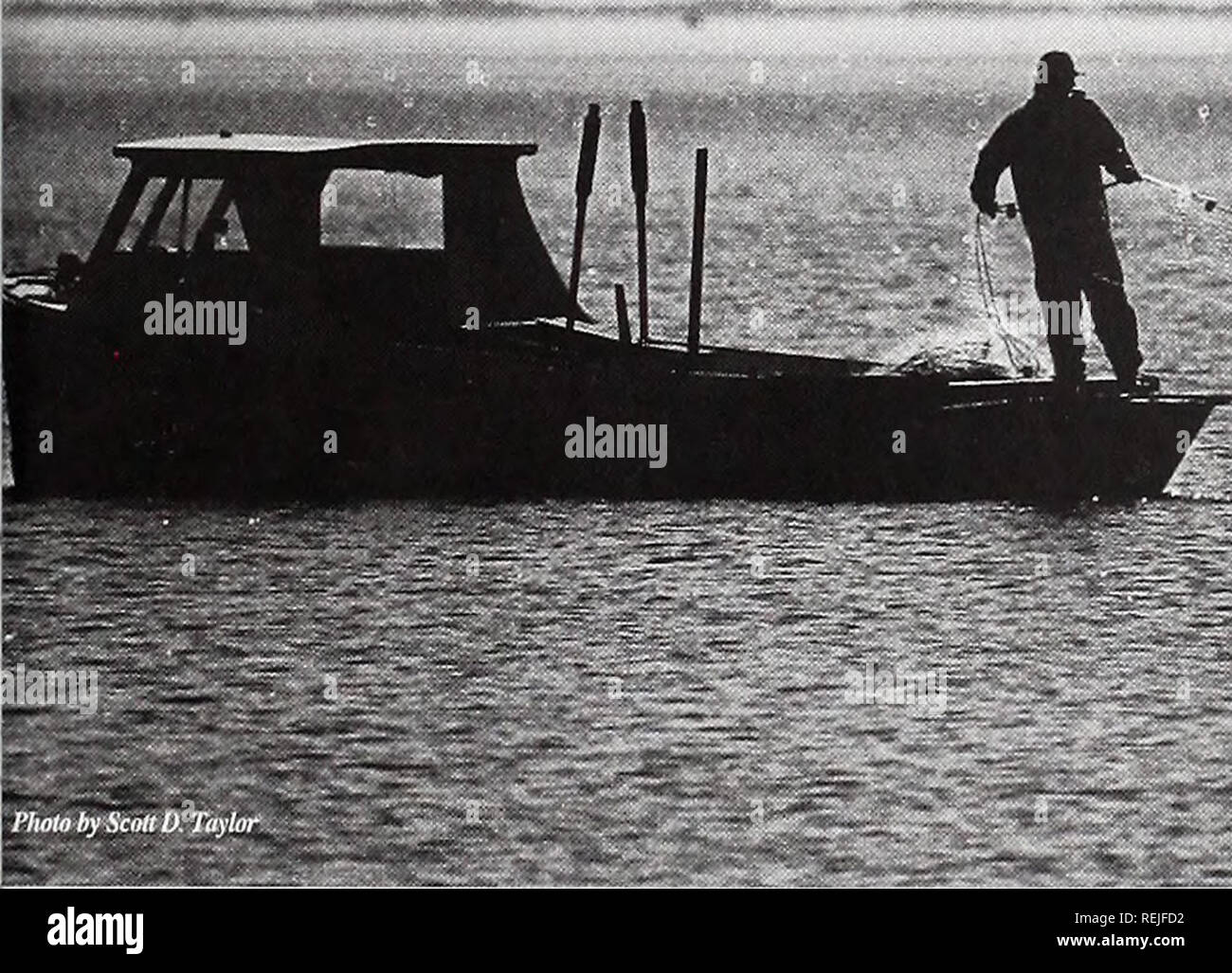 . Küste beobachten. Meeresschätze; Ozeanographie; Management von Küstenzonen; Ökologie der Küsten. Rechtliche GEZEITEN Wasserscheide - eine Partnerschaft mit der Wiederherstellung von Feuchtgebieten Programm des Staates. Mehr als 150 Hektar Ablassen durch den 75 Hektar großen Kerr Allee Feuchtgebiet, filtern Schadstoffe und Beilegung von Sedimenten, die zuvor direkt in verbrannt Mill Creek gewaschen. Das Projekt hat eine große Sichtbarkeit - ein wichtiges Ergebnis. "Bildung ist der Schlüssel", Mayes sagt. Mayes und seine Kollegen haben Con-ummantelt eine beeindruckende öffentliche Ausbildung Bemühung, Management Strategien. Einige Bereich Bauherren und Entwickler diskutieren enthalten Stockfoto