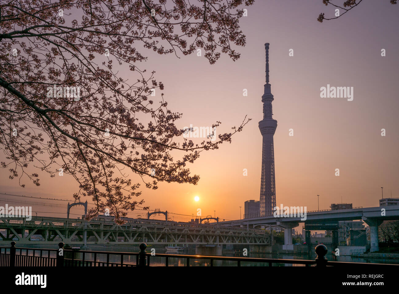 Skyline von Tokyo City durch den Fluss in der Dämmerung Stockfoto