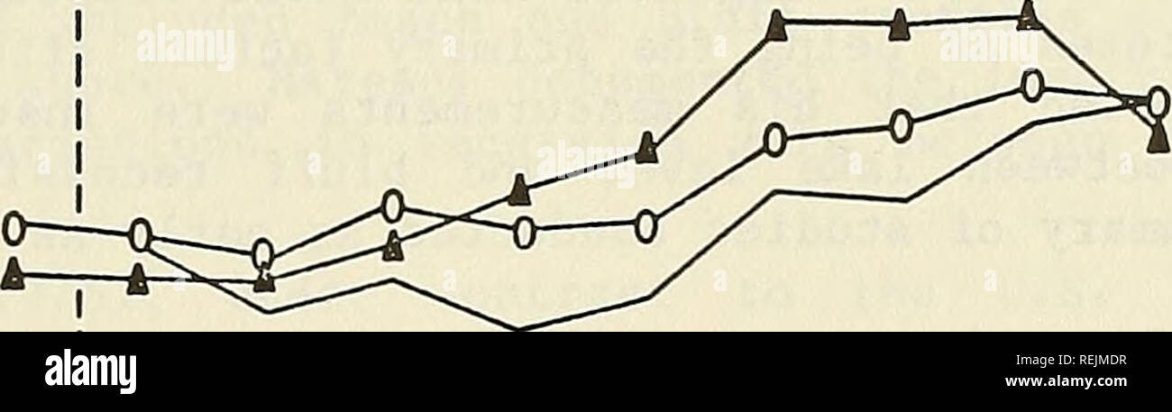 . Küstenveränderungen, östlichen Lake Michigan, 1970-1974. Küste ändert. Ich^a. 5 2 o I*4^^^^^^^^^^^^ s; fe 0 • - 1,0 0,8 0,6 0,4 0,2 0 Locotion ein ludington 0 Muskegon Worren Dünen Beobachtungen 513 840 713. Jon. Febr. März April Moy Juni Juli Aug Sept. Okt. Nov. Dez Abbildung 8. Unterschiede in der durchschnittlichen monatlichen brechende Welle Statistiken für drei östlichen Lake Michigan Standorte, November 1971 bis Oktober 1975. hindcasted Design wave-Daten für die Studie. Sie berechneten design Wellenhöhen und Zeiträume für Wellen aus drei Richtungen, für jede Jahreszeit und für Zeiträume von 5, 10, 20, 50 und 100 Jahren. Die je Stockfoto