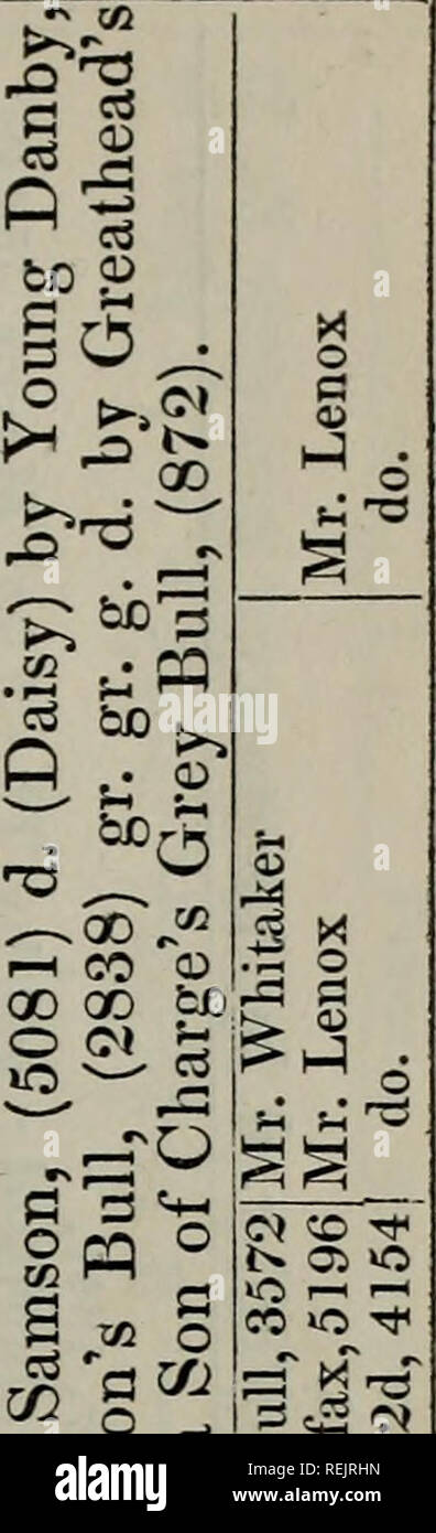 . Die coates Herd-book. Kühe. 231 bo jT C O §? O'^R". Â ^&gt;^. a0)^O "S nS^ C3 • a&gt; ein tD^o J5!- • dj. M3 bC-T-o-r-T5^ CO +3; 3. 1-1 â'; - H, p s o&lt;-- J O M Mh d d 6 6 d 6. r^r^'T3 rrS' T3-TS 1829, 2576) y Alfr d - durch^^ rS-rO. ; Â¢^ tD: 3P | ^^ Also "1p ^-^"^ • -:: So^3 biO" - ^^3 o a? S-^ ct o 1^1^1^1 6 1. Charles g. d. durch d. Durch Cuf2^3 Eu-H^^ § 666: j 66 zj dddddpqd s=t:. O-cj^ tD ^M. In HH +* nT y'*^^.^C^^ cÂ" bc C r^^--^. Â £ P^Sb2 - "2-^ IJ St fe... ; ", 1 ^^H V. ^-^-^&gt; -&gt;-d r -&gt; o rt rt CS S^5 o Â" -- "c^ Co ^-^ Stockfoto