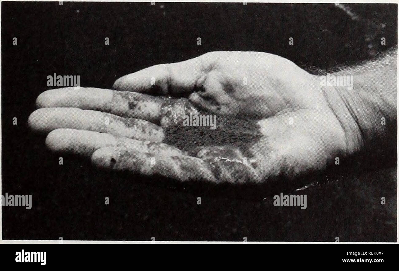 . Küste beobachten. Meeresschätze; Ozeanographie; Management von Küstenzonen; Ökologie der Küsten. Ein Phosphat verbieten? Reinigung ersetzen, Natrium Auto - bonate, kombiniert mit Mineralien im Wasser Kalkstein Ablagerungen, die sich auf Stoffe ansammeln zu bilden und in Maschinen. Aber staatliche Beamte sagen, Niederschlag nicht ein Problem in Soft-Reviere werden (87 Prozent der North Carolina Wasserversorgung als weiche eingestuft wird). Und in Hard- Reviere, die Verwendung einer Flüssigkeit nicht-phosphat Waschmittel wird verhindert, dass Probleme mit dem Niederschlag. Verband Sprecher main Tain das Verbot würde kosten die durchschnittliche Person $ 9 pro Jahr in extra h Stockfoto