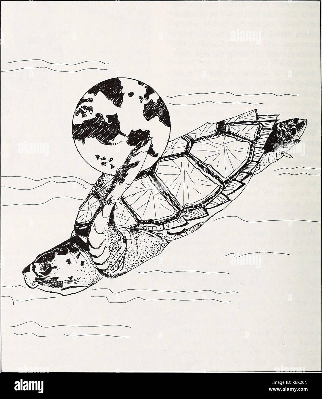 . Küste beobachten. Meeresschätze; Ozeanographie; Management von Küstenzonen; Ökologie der Küsten. Heiligtum, das reicht von Bogue in New River Inlet, der einzige Heiligtum, wie es in der Nation. Die Gewässer in diesem Bereich sind geschlossene, shrim-ping von 1. Juni bis 1. September, Anfang dieses Jahres. Das Heiligtum ex - in der Regel 3 1,6 km Seaward, außer zusammen tragen Island und nördlichen Onslow Strand, wo es nur bis 1000 Fuß offshore. Fischer wenig Widerstand gegen den Plan nach der Kom - Schildkröten, Tränen und Geschichten für die alten hinduistischen Philosophen ausgedrückt, begann die Welt mit einer gigantischen Schildkröte Stockfoto