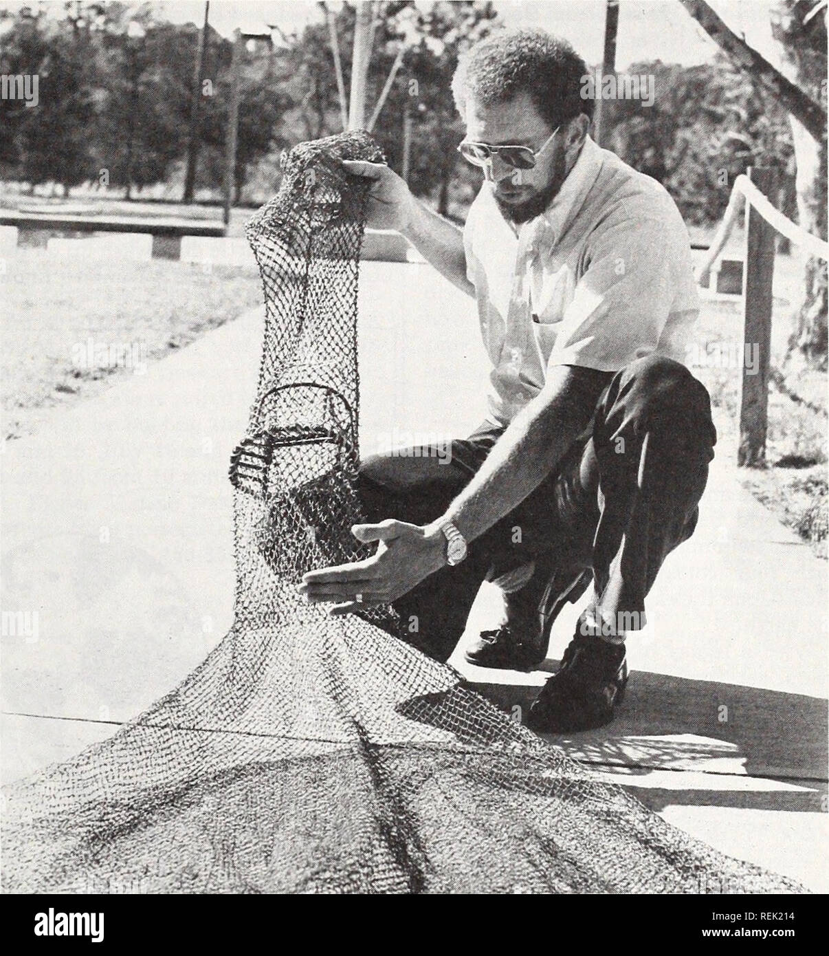 . Küste beobachten. Meeresschätze; Ozeanographie; Management von Küstenzonen; Ökologie der Küsten. Schildkröte - proofing Fanggeräte an einem warmen Nachmittag, einen fauligen Gestank treibt im Wind entlang einer Onslow County Beach. Ein paar hundert Meter bis zum Strand liegt ein 200-lbs, verfallende Unechte Karettschildkröte, aufgebläht und mit Fliegen verfilzt. Letzten Sommer 102 Meeresschildkröten, vor allem den Dummköpfen, waren tot gefunden Entlang Nord-Carolina Strände. Waren die Zahlen noch höher für anderen südosteuropäischen Staaten, in denen Schildkröten mehr sind zahlreich - 693 in Südcarolina, 656 in Georgien und 217 entlang der Ostküste von Florida. Niemand ist sicher, w Stockfoto