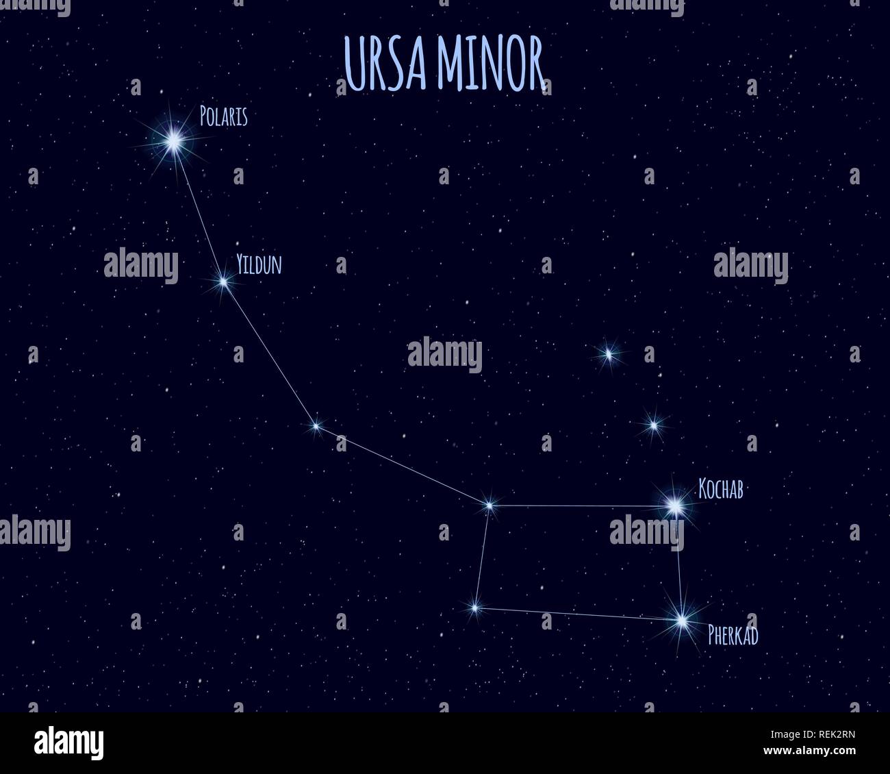 Ursa Minor Kleiner Bar Kleiner Wagen Sternbild Vector