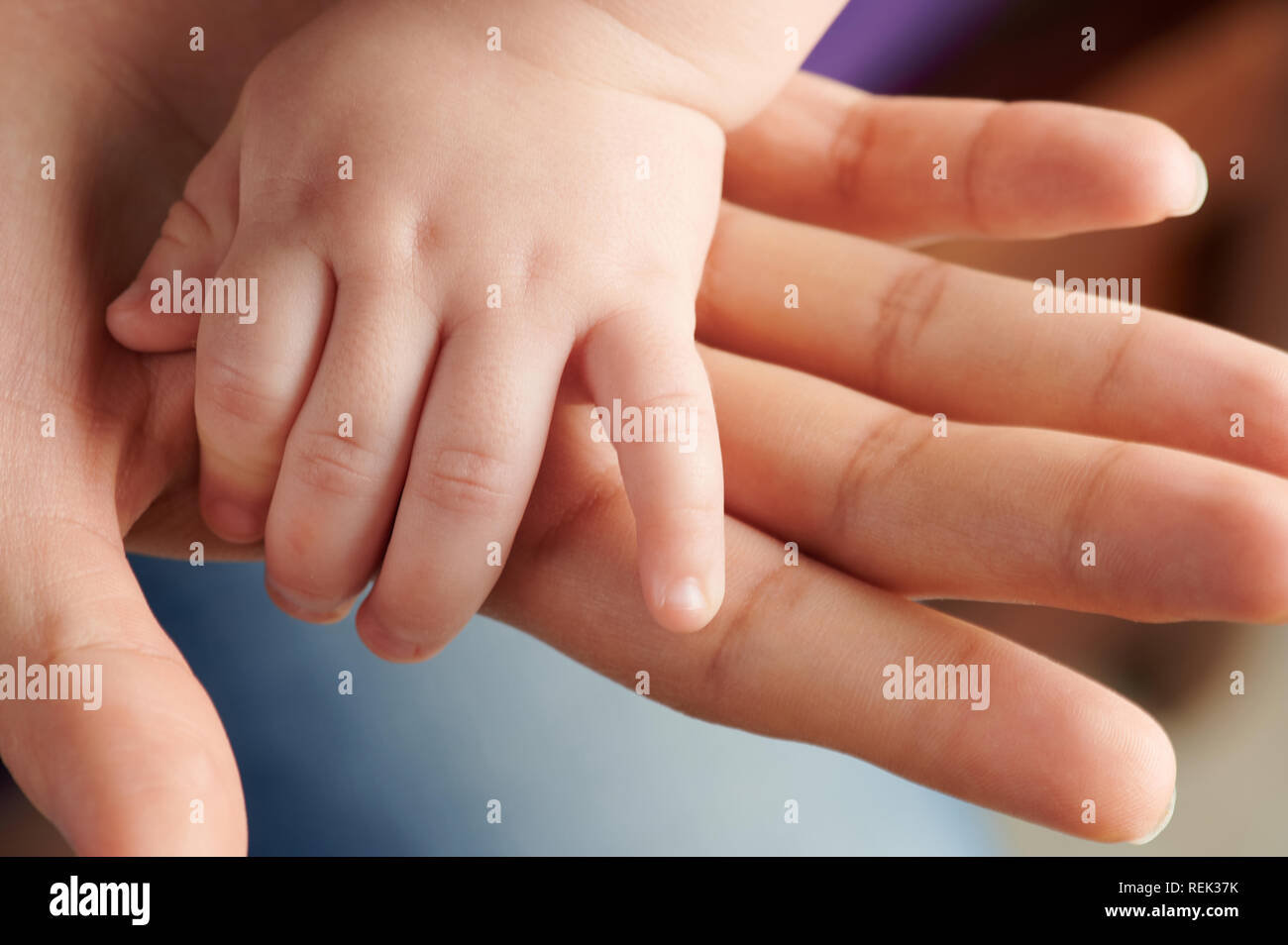 Kleines Baby hand auf Mom palm Nähe zu sehen. Stockfoto