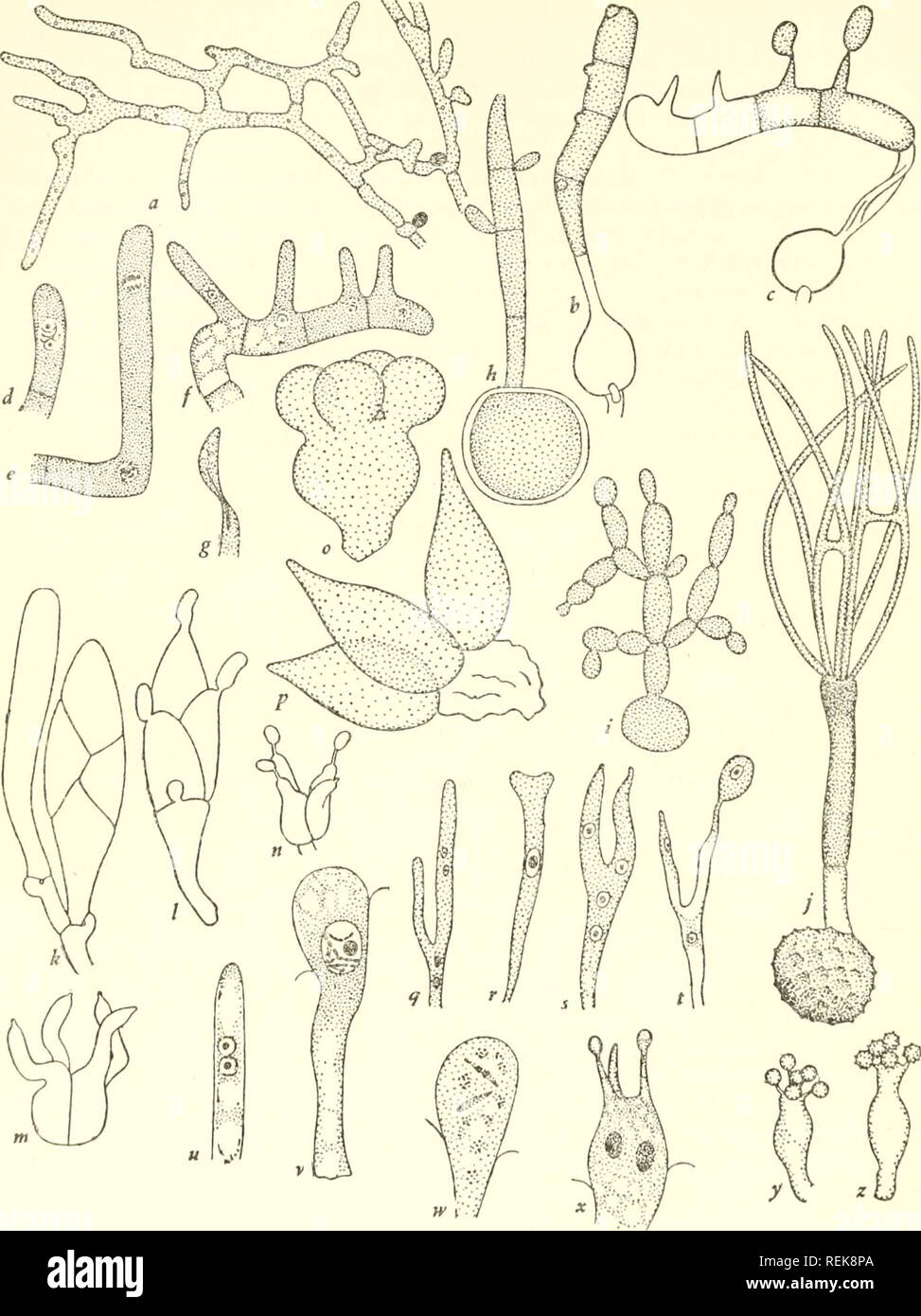 Martin hein Fotos und Bildmaterial in hoher Auflösung Alamy