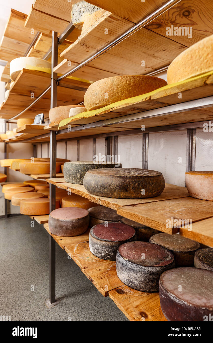 Räder von Käse in einer heranreifenden storehouse Molkerei Keller auf Holz  Regale Stockfotografie - Alamy