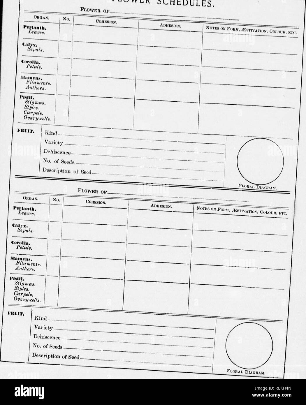 . High School botanischen Hinweis Buch [microform]. Botanik; Botanique. VATKiN, CdLOL'R, KTC. IHAI. UlACHAM. VATio. N, Farbe, ktc. RAf, Schaltplan. Blume Zeitpläne.. Bitte beachten Sie, dass diese Bilder sind von der gescannten Seite Bilder, die digital für die Lesbarkeit verbessert haben mögen - Färbung und Aussehen dieser Abbildungen können nicht perfekt dem Original ähneln. extrahiert. Spotton, H.B. (Henry Byron), 1844-1933. Toronto: W. J. Gage Stockfoto