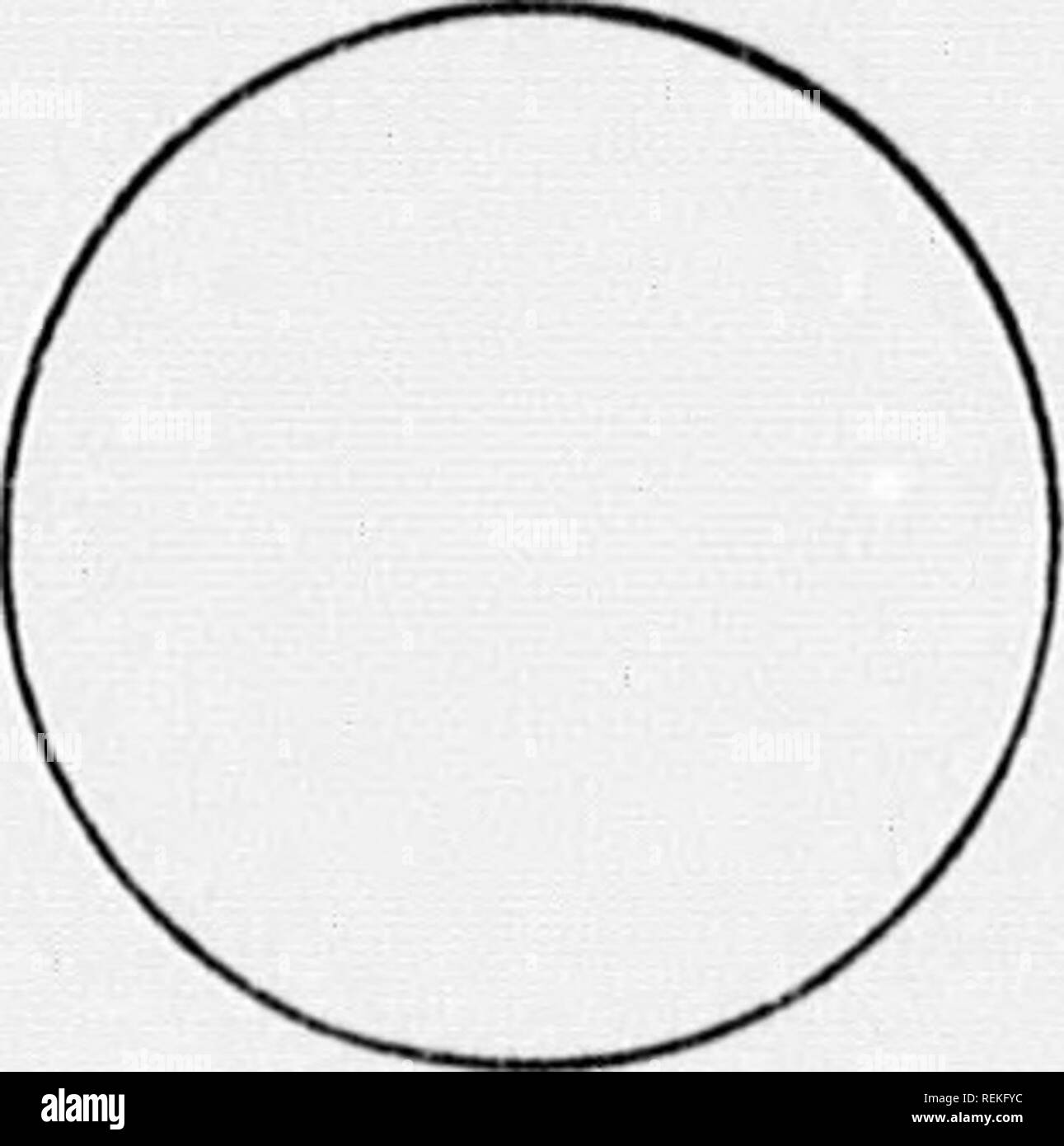 . High School botanischen Hinweis Buch [microform]. Botanik; Botanique. srjiir. s .. Klasse.. Slll - ('l.. s III VISION Ordc f icii'. (XtSMIFH iTI"^,.tc lidtanii'ul Xi; Pdimliir Xaii llabitat - Wliuru fuuud -.- hato von cuUoctiou Zeichnungen. S: C. Bitte beachten Sie, dass diese Bilder sind von der gescannten Seite Bilder, die digital für die Lesbarkeit verbessert haben mögen - Färbung und Aussehen dieser Abbildungen können nicht perfekt dem Original ähneln. extrahiert. Spotton, H.B. (Henry Byron), 1844-1933. Toronto: W. J. Gage Stockfoto