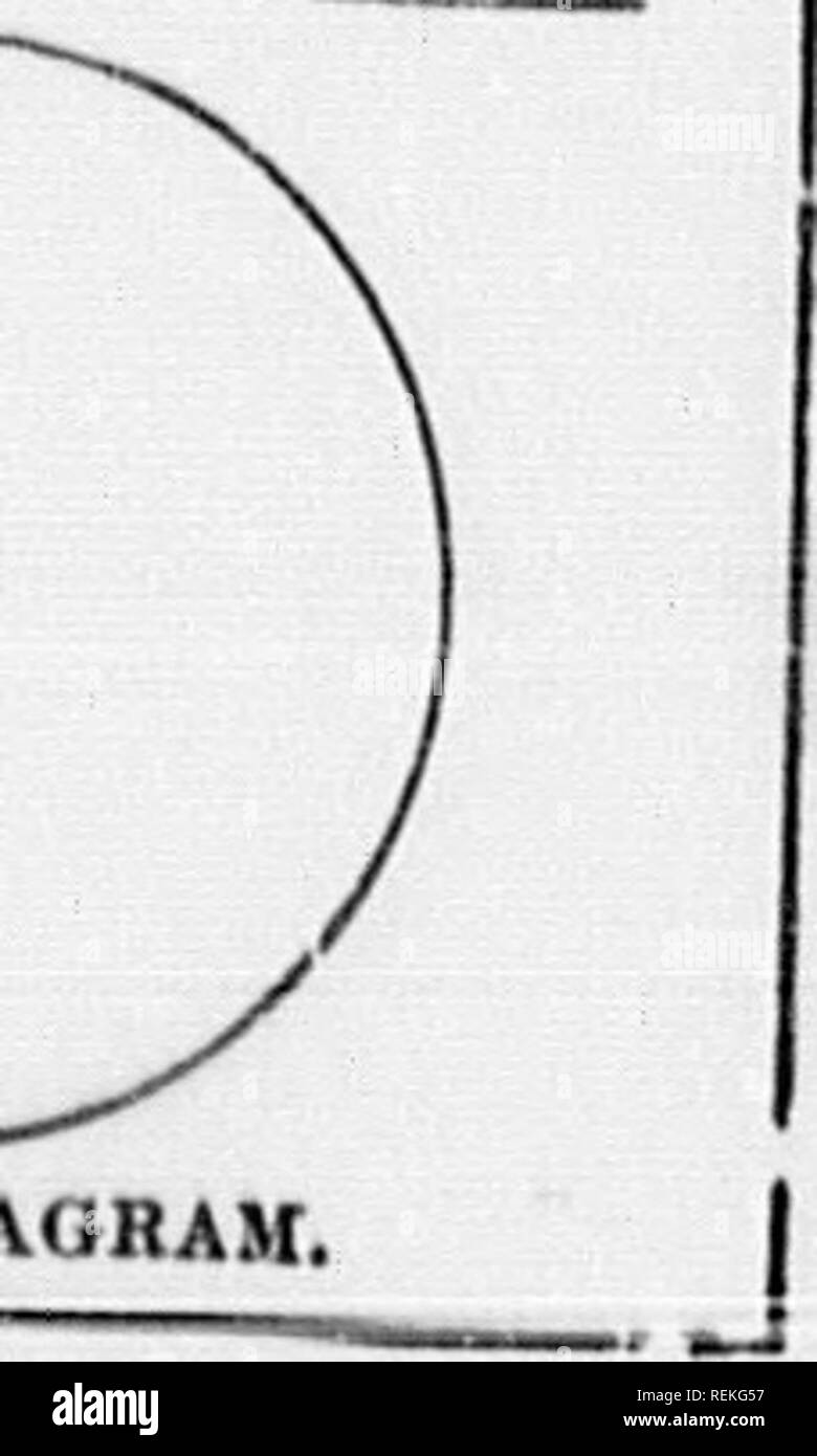 . High School botanischen Hinweis Buch [microform]. Botanik; Botanique. ompDiiiifl. CoLOCn, KTC.. CLAHHIFM ATIOV.tc. SERIRS." Claw .. si: i)-Cla, SS-Division Ordor (il'IltlS Arten. Bitte beachten Sie, dass diese Bilder sind von der gescannten Seite Bilder, die digital für die Lesbarkeit verbessert haben mögen - Färbung und Aussehen dieser Abbildungen können nicht perfekt dem Original ähneln. extrahiert. Spotton, H.B. (Henry Byron), 1844-1933. Toronto: W. J. Gage Stockfoto