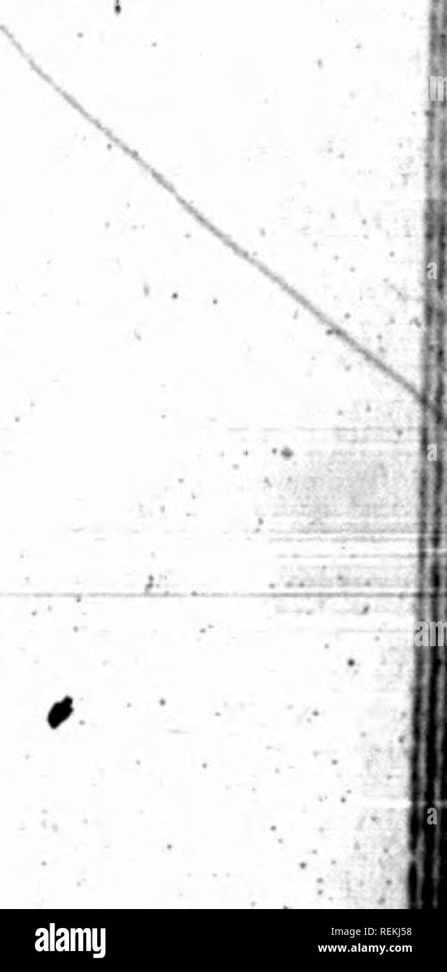 . Untere Kanada Jurist = Sammlung de décisions du Bas-Canada [microform]. Gesetz Berichte, verdaut, etc.; Recht; Rechtsprechung; Droit. • 4. §^^.:; fi SUPERIOR COUHT^ ISAO. ^^"807, die in til* oflM Jaat nil ^M zu Tk "writ Wm.^^ u t A "LH"" |, l "l" Mh, " " p™ "" || " Al-l> "Il", u. r™. Ifc. 'T'-Za/r" "m. Ein Xa/TMM*, für Pl. huift. *^" "P^'"°**'"/om#^dl. ml"^^. CaWicr, // "•. .!..". Jx llh Qun in dtffkut Tun p4 Ianien (dM uM">"^4*. " Dtt-Ed, ^^M. •'"°"""""""""" • • • • Pl"> ne forme et tonear, m awtonf Om2 f • • inonnjtctd"^^ Iaiexoirt en^l "W Stockfoto