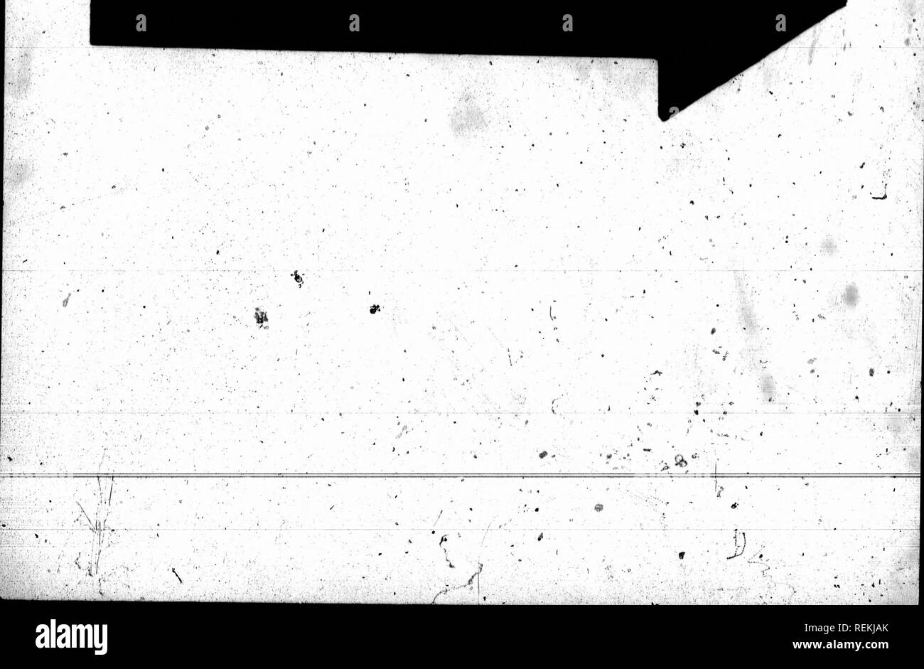 . Untere Kanada Jurist = Sammlung de décisions du Bas-Canada [microform]. Gesetz Berichte, verdaut, etc.; Recht; Rechtsprechung; Droit. . Bitte beachten Sie, dass diese Bilder sind von der gescannten Seite Bilder, die digital für die Lesbarkeit verbessert haben mögen - Färbung und Aussehen dieser Abbildungen können nicht perfekt dem Original ähneln. extrahiert. Montreal: J. Lovell Stockfoto