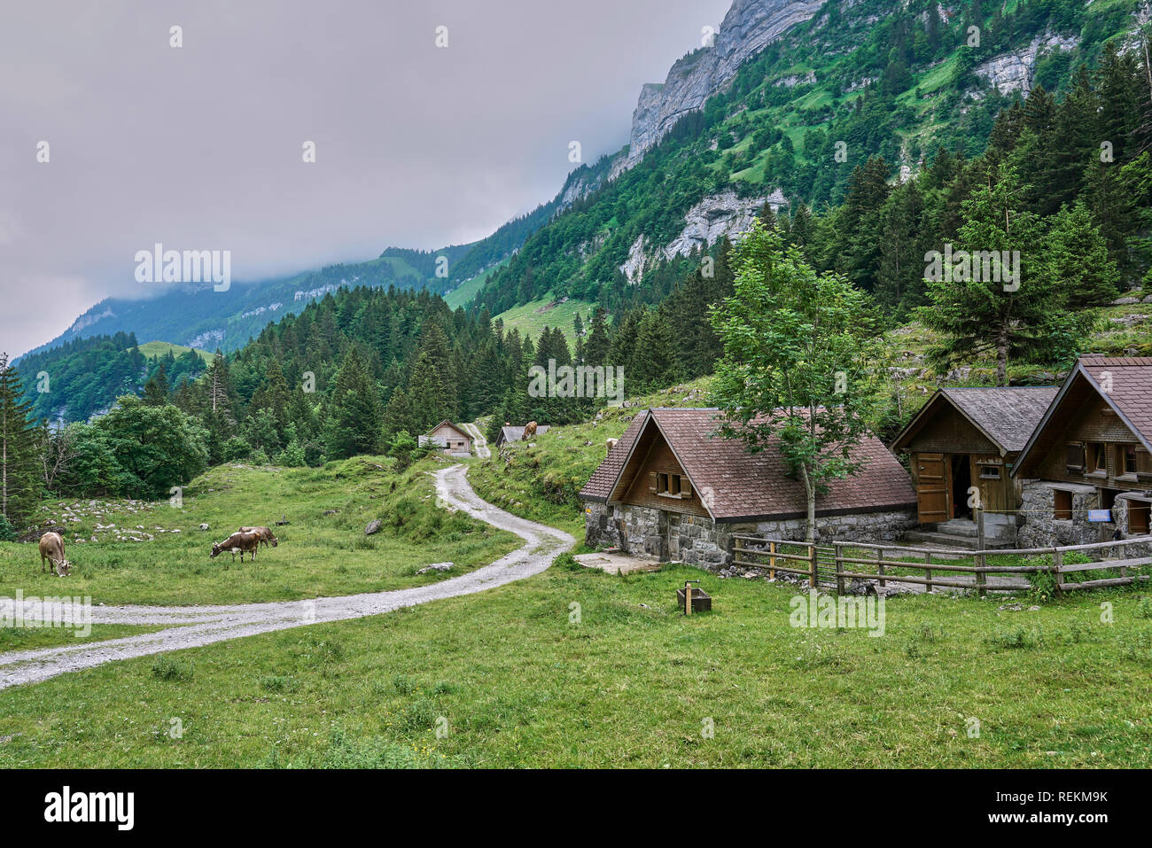 Landschaften in der Nähe des Seealpsees, in Alpstein in Appenzell ist ein historischer Kanton im Nordosten der Schweiz. Stockfoto