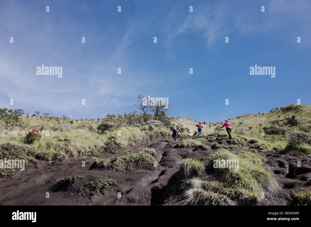 Aufsteigend Mount Merbabu Indonesien Stockfoto