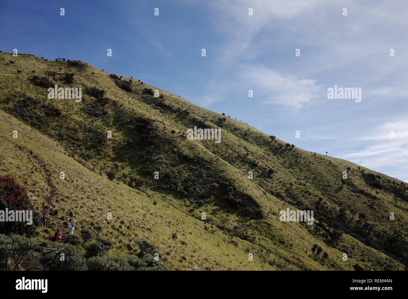 Mount Merbabu Szenerie Stockfoto