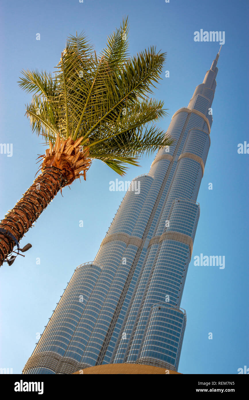Burj Khalifa Tower und eine Palme von unten in Dubai, Vereinigte Arabische Emirate Stockfoto