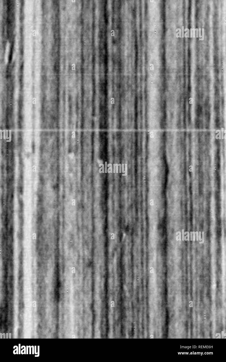 . Reisen in Nordamerika [microform]: Mit seinen natürlichen Geschichte und Indizien der Plantagen und der Landwirtschaft im Allgemeinen: Mit den zivilen, kirchlichen und wirtschaftlichen Zustand des Landes und die Sitten der Einwohner, und mehrere neugierig und wichtige Erläuterungen zu verschiedenen Themen. Natural History; Naturgeschichte; Naturgeschichte; Baron, Baron, Baron. . Bitte beachten Sie, dass diese Bilder aus gescannten Seite Bilder, die digital für die Lesbarkeit verbessert haben mögen - Färbung und Aussehen Dieser Lllustrat extrahiert werden Stockfoto