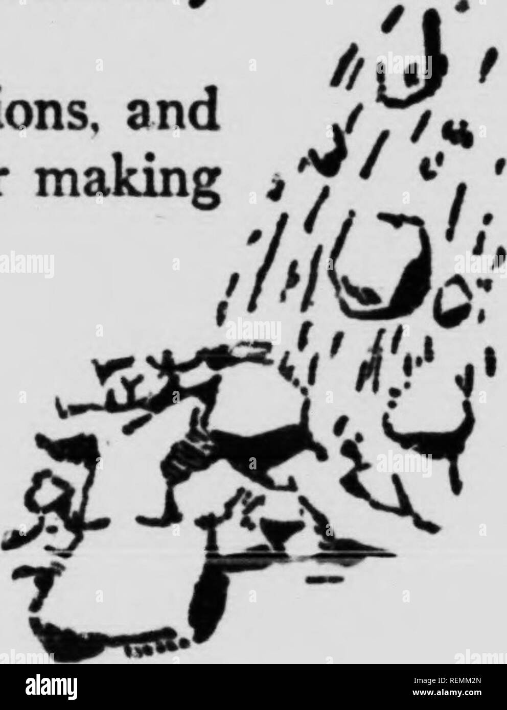 . Wilde Tiere zu Hause [microform]. Tiere; Zoologie; Animaux; Zoologie. Die RftUMi UMi thcb Haite Kurze, runde, weiße Umrandung Ohren und keine sichtbaren Schwanz. Dies ist die seltsame Httle Tier, überall aber nicht glücklich im Slide Rock sein, dies ist der Aufruf von Hase. "Little Chief Hase" ist seinen indischen Namen, aber er hat viele andere viel Währung, wie "Pika" und "Verhungert Ratte", Letzteres, weil es nie Fett ist. Der Treiber nennt es eine "Coney Island" oder "Rock Kaninchen." In ihrer Farbe, Größe, Form und Gewohnheiten, es unterscheidet sich von allen anderen Crea - Taufers im Stockfoto