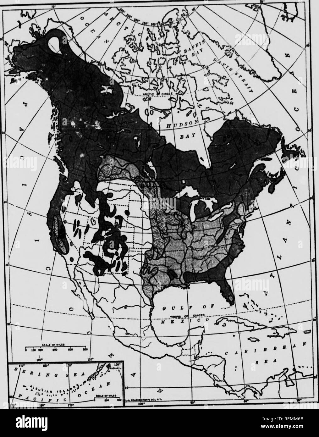 . Leben - Geschichten der nördlichen Tiere [microform]: ein Konto der Säugetiere von Manitoba. Säugetiere; Säugetiere; Mammifères; Mammifères. Karte ii - FOPEST, PLAIHS ATO PRÄRIEN IM WERT VON AMERICA^ XCLCSIVE "f m^CO), Nach C.S.S. rgenfB Karte Ho. .. 10 Cen". s Der Umted SUtes. Dep Int 1880 wift"^^^^^ C "Ich. d" aus dem Alias vor kurzem durch die pubUshcd Pepartment des Inneren Canaoa liQoo;. "Nif. n&gt; u. fo ".. in d "k Zinn., d "id" ou. Für ". im piO. un.. v^m in Dot." J Zinn.".&lt;! "D". pUin. "Wlu "Imt267. Bitte beachten Sie, dass diese Bilder aus gescannten Seite Bilder, die digital wurden extrahiert werden Stockfoto