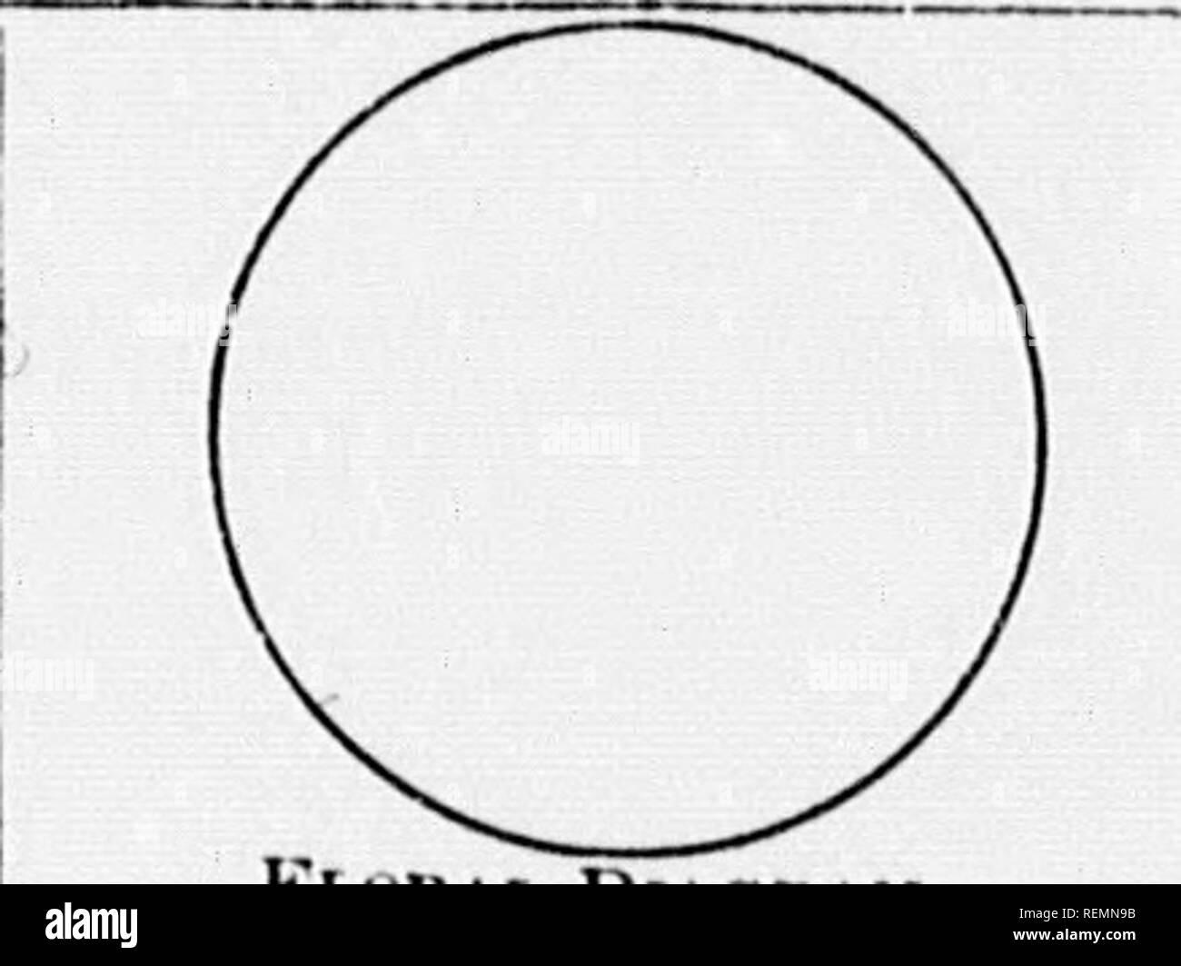 . High School botanischen Hinweis Buch [microform]. Botanik; Botanique. - "• Y^smsmmmmm Mtt. Blume Zeitpläne. FLOWEn OP.. OnOAN. IVrlniilh. Lea ves. Nr. Zusammenhalt. Ich' nl^'x. Kelchblätter. Corolla. Blütenblätter. Adiiebion. Hinweise zur Foiim,./Estivation, Mtiiiiirnit Ooloub, etc.. Filamente. Antheren. ristii. Stirjmas. Stile. Samenkapseln. Eierstock-Zellen. FIHIT. Art Vai' iotj-Dt' liiscfuce Ko. der Samen Beschreibung von Saatgut. • "'I. OHAI. DiAOIIAM. Fl. OWEU OP. OnOAN. Nr. Zusammenhalt. IN-rliiEilli. Verlässt. C'ur.v. Kelchblätter. (Urolln. Blütenblätter. Haftung. Hinweise zur Form,.*; stivation, NliliiiriiH CoLocn, etc.. Filamente. Antheren. Stempel Stockfoto