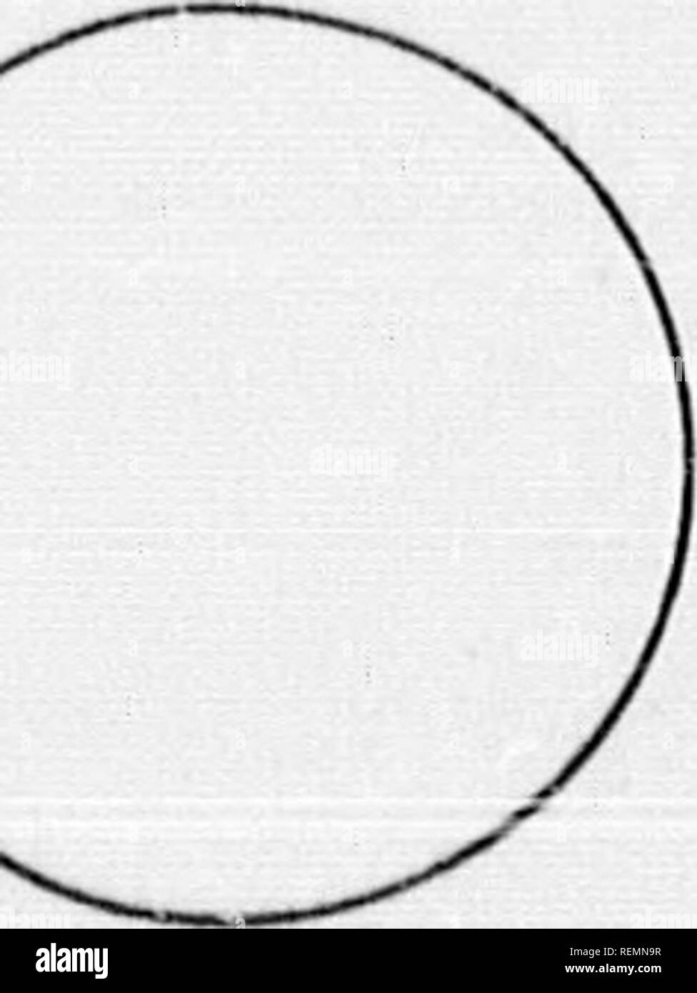 . High School botanischen Hinweis Buch [microform]. Botanik; Botanique. iKAr. Ul. V SCHINKEN. arioN, coLoun, ktc.. RAF. DlAOHAM.. Bitte beachten Sie, dass diese Bilder sind von der gescannten Seite Bilder, die digital für die Lesbarkeit verbessert haben mögen - Färbung und Aussehen dieser Abbildungen können nicht perfekt dem Original ähneln. extrahiert. Spotton, H.B. (Henry Byron), 1844-1933. Toronto: W. J. Gage Stockfoto