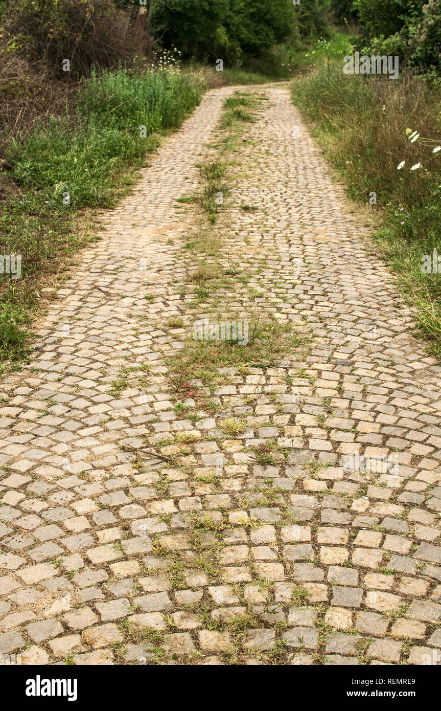 Alte Stein verlassenen ländlichen Land Straße mit viel Grün closeup überwachsen gepflasterte Stockfoto