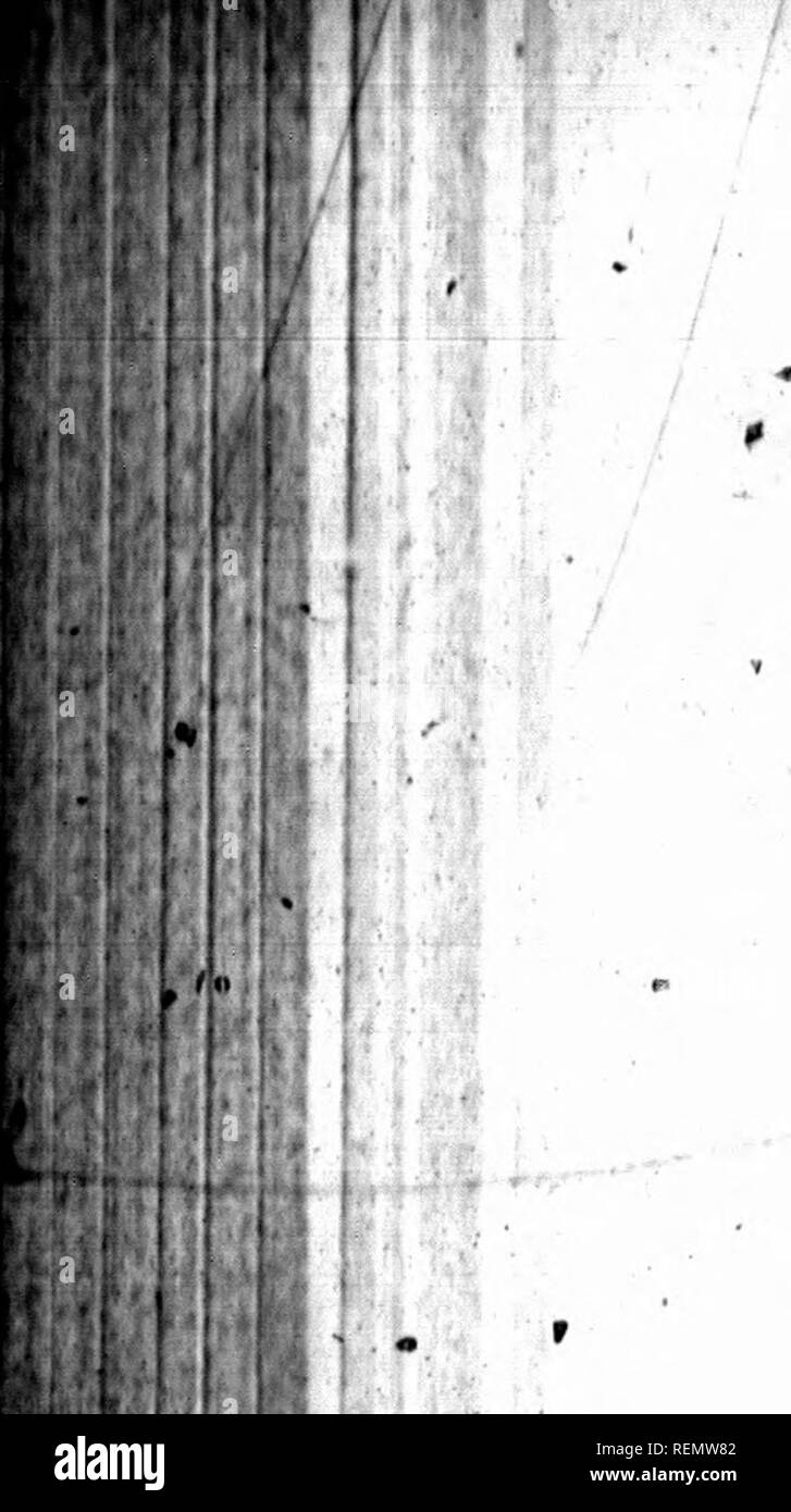 . Das Montreal Gesetz Berichte [microform]. Gesetz Berichte, verdaut, etc.; Recht; Rechtsprechung; Droit. IMM. Hart ein JoMpb. I I c ::: S! I.'' W i U-Il 804, ^M 01 ITBS 4 L GESETZ BRPORTS. ^ D'"molombe, Vol. 281, S. 2." 8, Ko. 870. "La roiuifle mt UA "Spende, dit Pothinr. T "l Mt en" ofFrtt Sohn vrni (laraotAr*, I'gratajt | Var im QR6 ein - "cier Aufgeben tun â&amp; ortence ein Gewinn du d6 bitoar Jet la renonoia-*' tion au droit qu'il avait d'exiger d'"Lai Ion paiementr" Laurent, Vol. 18, No. Aso s. 875.... Â ¢ [La renjiBd gra - "tuite est une lib6r 4^ Utfi oder leR donationn tont r^gios par&q Stockfoto