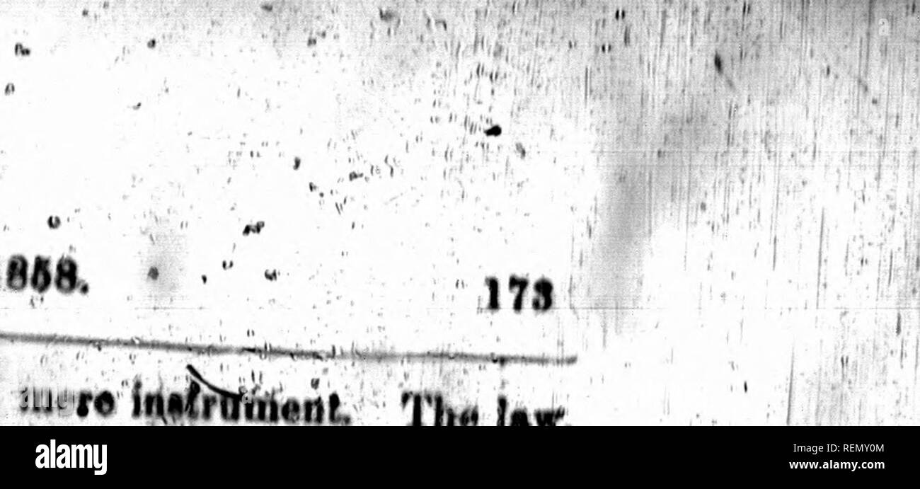 . Untere Kanada Jurist = Sammlung de décisions du Bas-Canada [microform]. Gesetz Berichte, verdaut, etc.; Recht; Rechtsprechung; Droit. ^ BtJPBRlOlt HOF, IMS. 'Agent der • nother, "0xff" n 7 b"! nf ooniidariHl M"-"". W^t^-A. ^ ich Nior "Ov", n.,. "r" keine bestimmte Form oT"!^-^ J £" "Y, '*' H^Ni&lt; fr.^. ....,,,,, R. Ndor, Bill. ", TJ. Ich Rto 2, !I U"!: "f?f" n., Gener. Oder ich",. M. uthority:."^(i,."":: I.: Ausführungen UtT J^. Bitte beachten Sie, dass diese Bilder aus gescannten Seite Bilder, die digital für die Lesbarkeit verbessert haben mögen - Färbung und Aussehen dieser Abbildung extrahiert werden Stockfoto