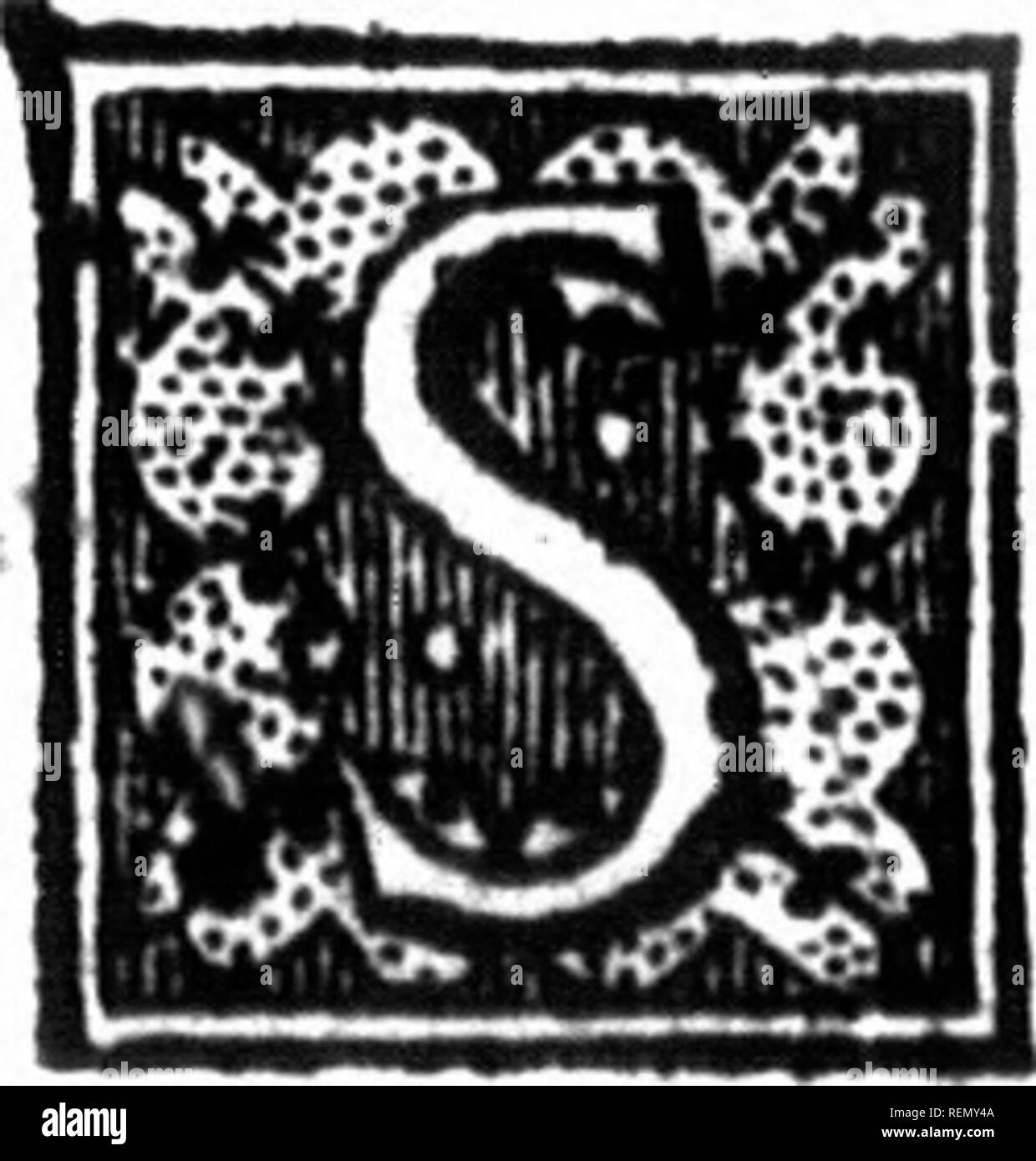 . Die Standardisierung von Digitalis und die Potenz der amerikanischen Erwachsenen Digitalis [microform]. Digitalis (Droge); Materia medica, Gemüse; Digitale; Phytothérapie. 1 6 Sf1. Xes Anglois j) ropofcnt la JBcutialit^. J $ 6 HiSTOlRl Gen F. RALE HISTOIRE BESCHREIBUNG GENERALE ^D E L A NOUVELLE FRANCE. i t z/^ £ QUINZIE BIN E. U R nouvelle dc raprochc dcs la Ennemis M. dc Frontenac^ toit Parti dc Quebec fc gießen Loin ein in Montreal, Mais il apt Prit en y arrivant Icur d^ite&amp; leur fuitc, &Amp; il rctourna auflitot Fell fcs Pas. II rc^ ut pcu dc Seeschwalben apres d6 s Lettres du Gou-vcrivcur G^n^RAL-dc la NouvcUc Stockfoto