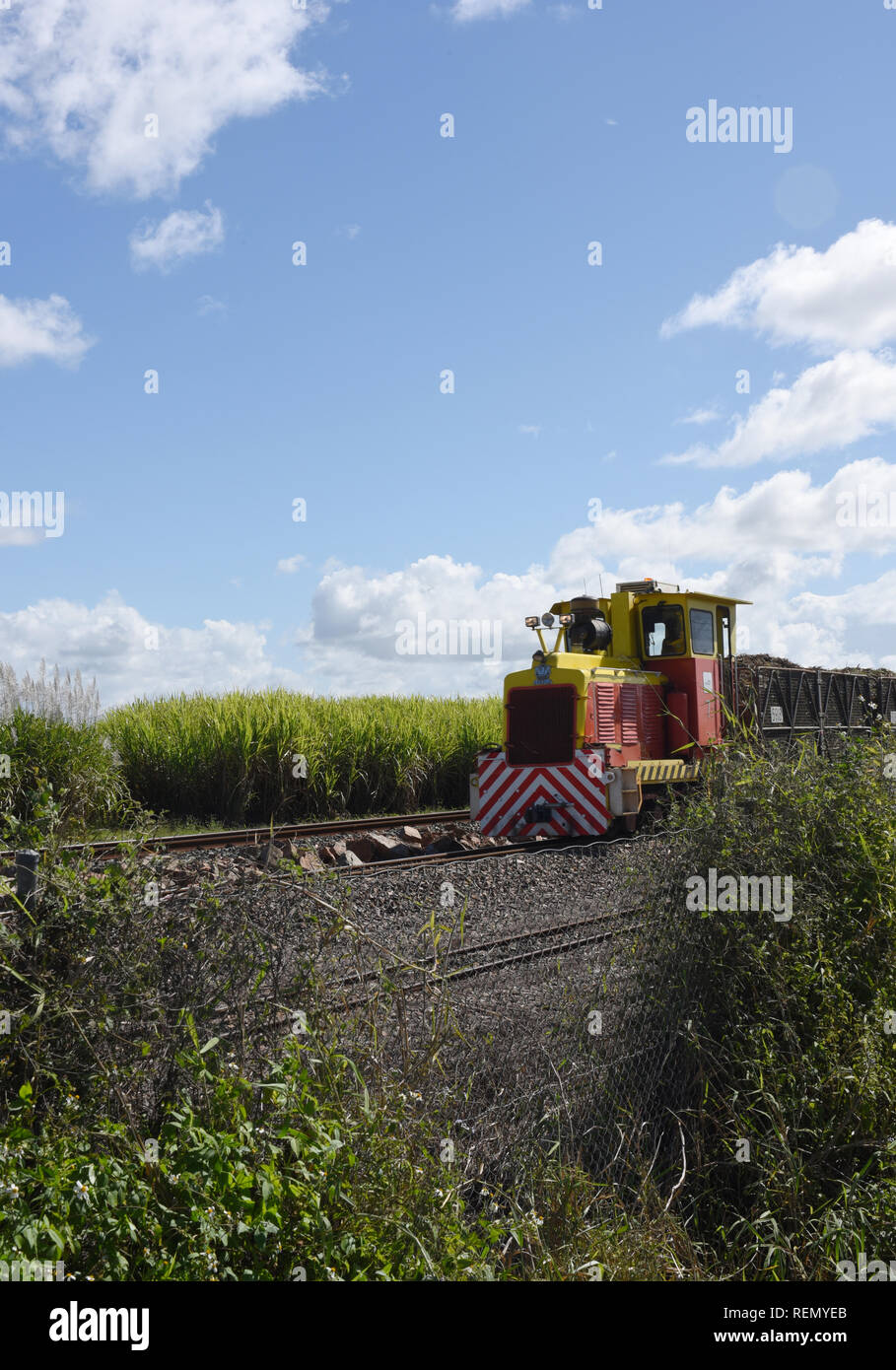 Zuckerrohr Zug, Sarina, Queensland, Australien Stockfoto