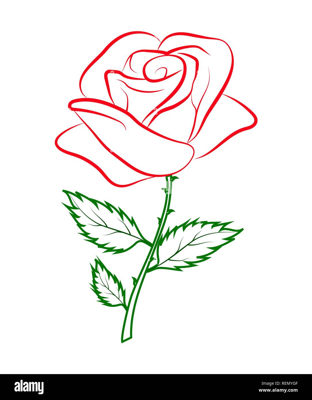 Einfache Gliederung farbige Zeichnung der eine rote Rose auf einem grünen  Stiel Stock-Vektorgrafik - Alamy