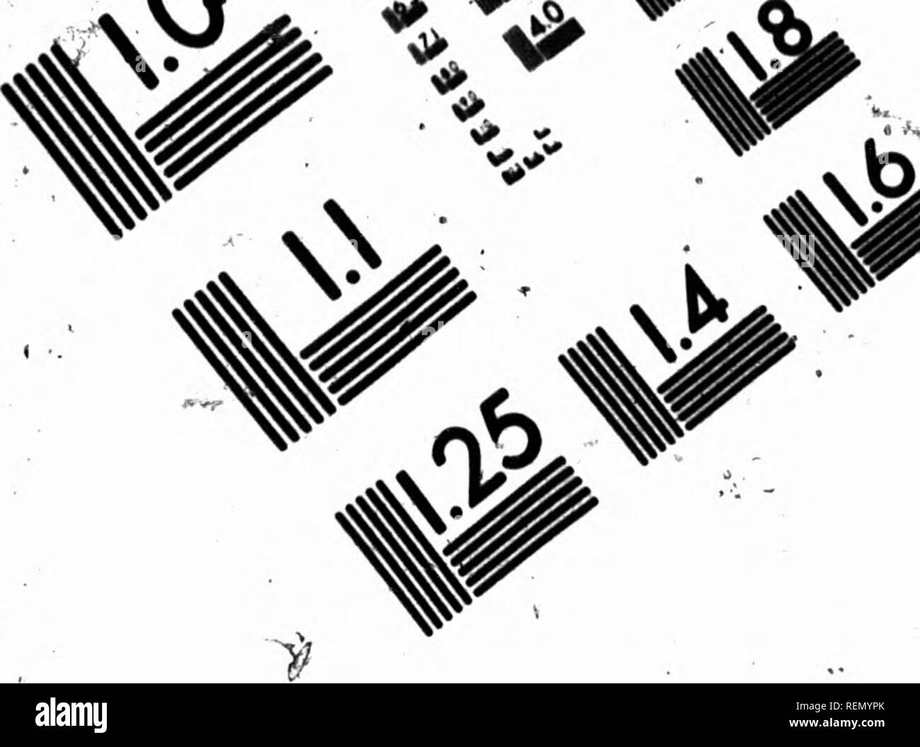 . Je nach Saison [microform]: Gespräche über die Blumen in der Reihenfolge ihres Auftretens in den Wäldern und Feldern. Wilde Blumen; Fleurs sauvages. : ^,. Ich * * ^w^-M'^.-- v-r" BILD TEST ZUR BEURTEILUNG ZIEL (MT-3) I.I 2,5 Li 128 Sf1^ 12.0, 11:25 Ich 1.4 li E 1.6. Bitte beachten Sie, dass diese Bilder sind von der gescannten Seite Bilder, die digital für die Lesbarkeit verbessert haben mögen - Färbung und Aussehen dieser Abbildungen können nicht perfekt dem Original ähneln. extrahiert. Dana, William Starr, Frau, 1861-1952. Toronto: G.N. Morang Stockfoto