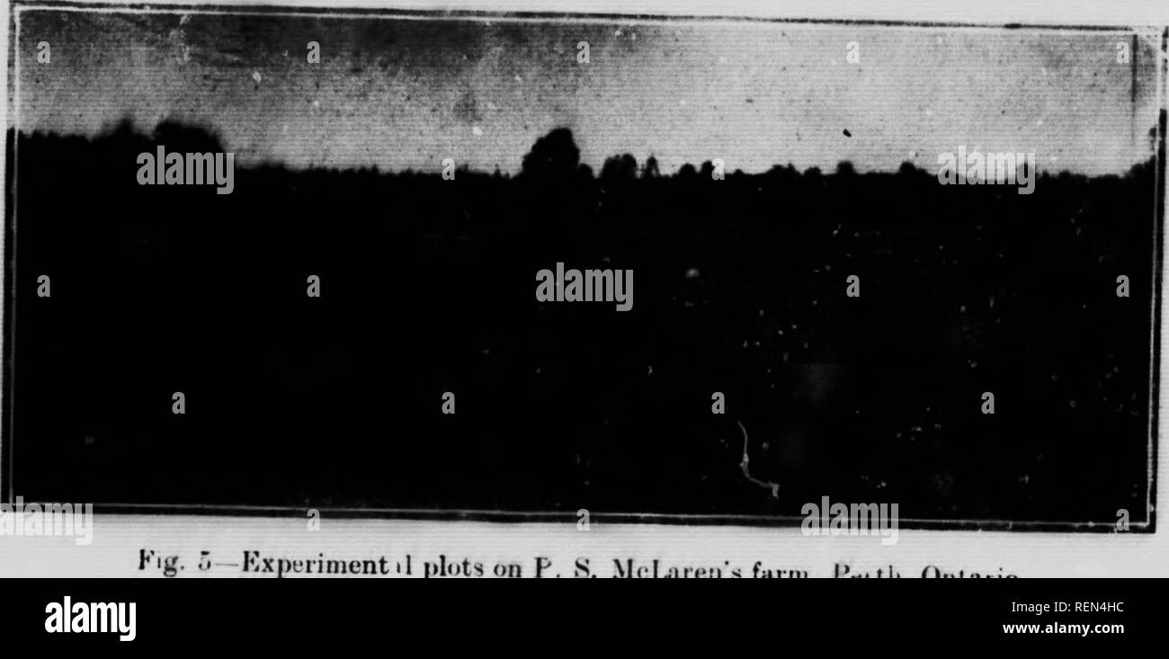 . Charakter und Behandlung der Sumpf oder Muck Böden [microform]. Améliorations foncières; Entwässerung; Reklamation des Landes; Zones humides; Entwässerung; Feuchtgebiete. I i^5!.es Schreiben Ergebnisse wurden in diesem Jahr obtauied anv procedi-ur, die Unbefruchteten Grundstück m bei Hafer l "u'40 Hülsed^ pro acr vielded nv!" Kalk hier gab eine sehr deutliche Zunahme von jh Bushel. n-r Morgen den Boden expenmente. 1 Auf war eines sauren Charakter, der badiv iinung Kalk und. Mnnate ot p,. tash erhöhte die viekl ^2.', Scheffel, H-r Ac e'. Bitte beachten Sie, dass diese Bilder extrahiert werden aus der gescannten Seite Bilder, die b Stockfoto