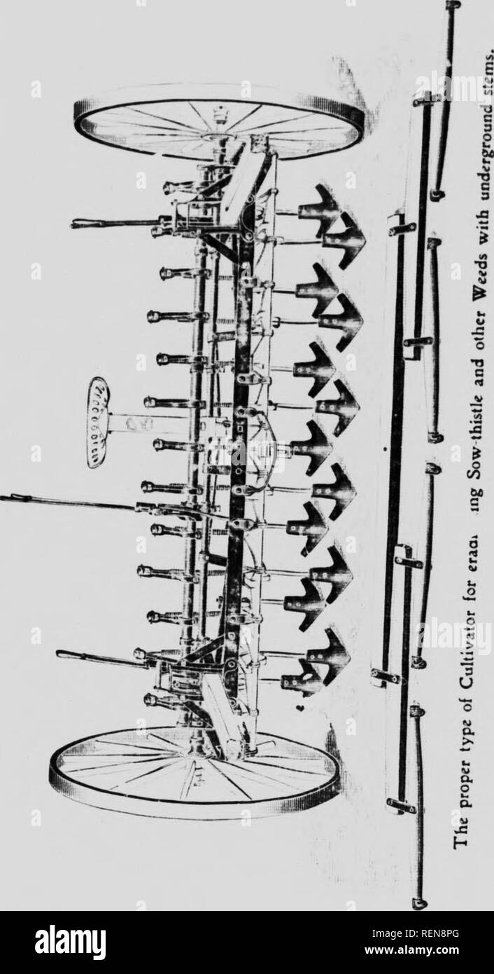 . Zwölf Unkräutern [microform]. Unkraut; Mauvaises herbes, Lutte contre les. "I". • Fj Iv^*. Bitte beachten Sie, dass diese Bilder sind von der gescannten Seite Bilder, die digital für die Lesbarkeit verbessert haben mögen - Färbung und Aussehen dieser Abbildungen können nicht perfekt dem Original ähneln. extrahiert. Bedford, S. A. (Spencer Argyle), 1851-1933; Lee, C.H.(Charles H.). [Winnipeg?]: J. Böttcher Stockfoto