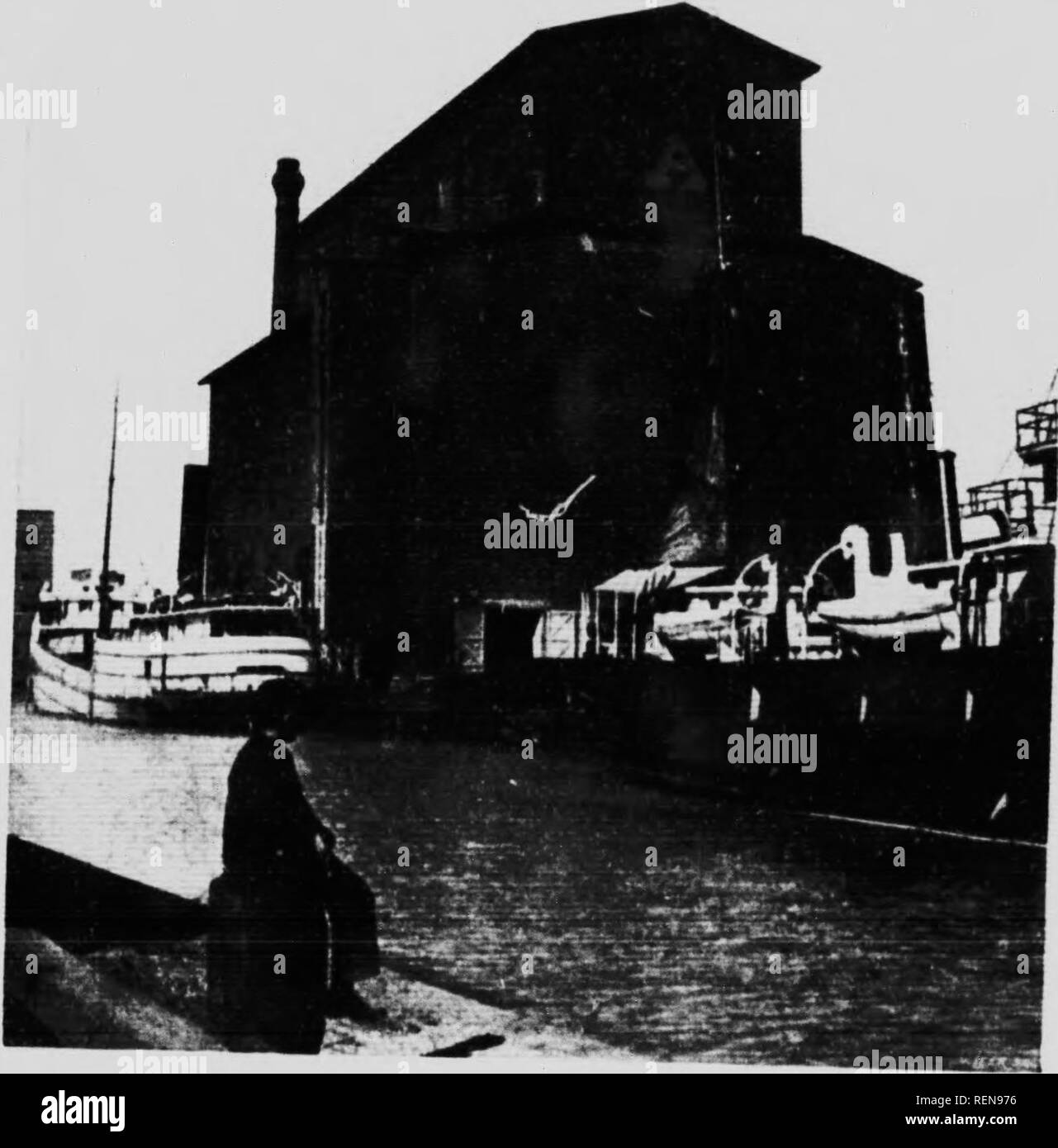 . Kommerzielle Produkte der Welt [microform]: Eine Beschreibung der wirtschaftlichen Pflanzen der Welt und ihrer kommerziellen verwendet. Pflanzliche Erzeugnisse; Produits naturels; Produits vÃ©gÃ©Taux; Naturprodukte; Botanique agricole; Botanik, Wirtschaftliche. rRIMITlVi; HAKKKY TLI; iil alK Art von Nahrung,... ic,... p., K. ,.,,.,,,,;. JrL l.- twcen der d, FF.n.nt Teil, der Tl. e Welt, it, s verkauft Almo>t..,., vwlur" 11..g;. n. nd nu-Thsb von, Nak:: breit ist,,,,,, evcvo. und n.-d, Ln, t,. d k, âgdon, hat ein sp. r, Al iât,.n.st Ich thr prodnrtion von 19 llirtl, lic, Luft schnitt." ft, 1,, irar • I-'po^ ihlr zum Th Stockfoto