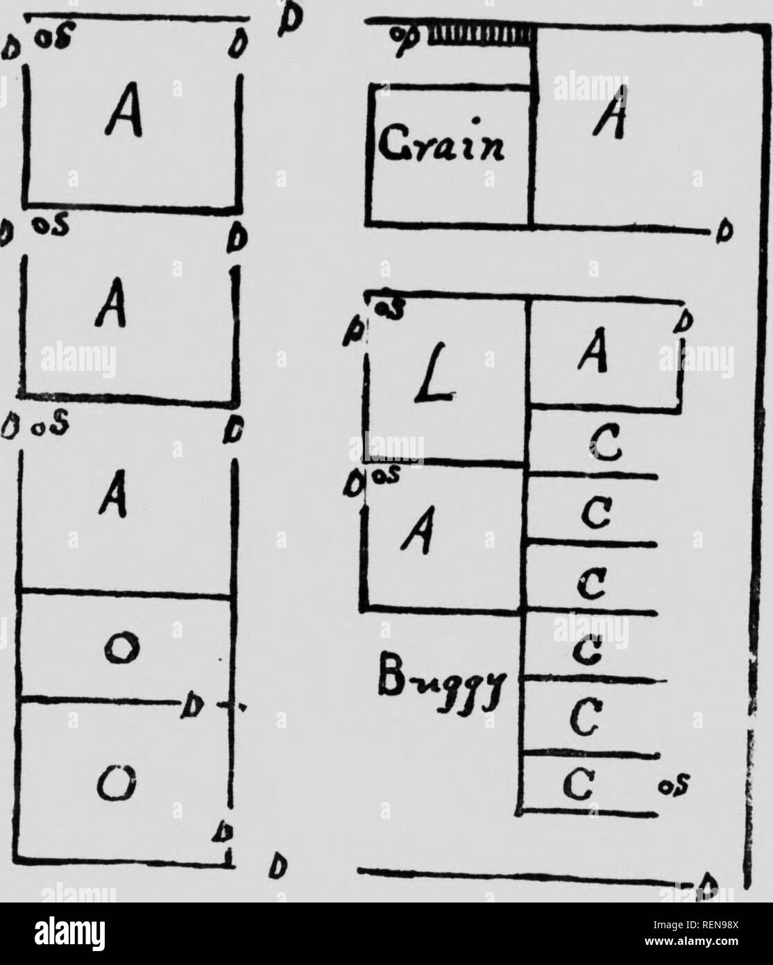 . Studien in der Pferdezucht [microform]: Eine illustrierte Abhandlung über die Wissenschaft und Praxis der Pferdezucht. Chevaux; Pferde; Pferde; Chevaux. Â ¢ H (, Sri 'DIi:-^ in lloRM -; liRFIKDixc f. nnulatinn wnrk. Sand •, Scl. Ich.ââ âs.-, l l.y â â¢ Urne; und ich ijravcl auf Irreführen, dass ICH. nein l. avc-a roii' gl arfacc. Auch ein Pferd ohne Schuhe nie auf einem solchen Boden gleiten. So Das Ioni', wie die allgemein oder^ Rade gesichert ist, es kommt nicht darauf an wie rouLdi der Oberfläche darf er. Die Rou, i, dier Es ist Zinn-Brief wird er für Pferde trom {â ¢- Sicht. 336. Zement. 1 werde oft gefragt, ob der Zement wird Stockfoto