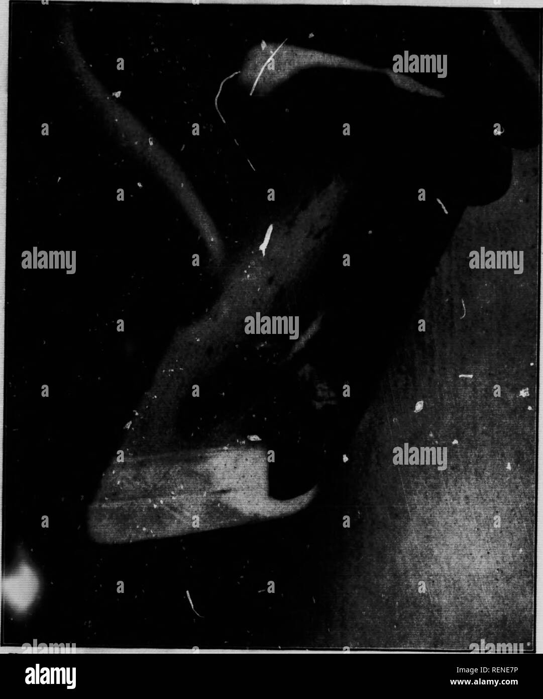 . Schmetterlinge und Motten Buch [microform]: persönliche Studien und Beobachtungen des bekannten Arten. Schmetterlinge; Papillons; Papillons nocturnes; Motten. notott - apk durch Aw * Ich habe die Farbe und markinss seiner Flügel sehen konnte. Bitte beachten Sie, dass diese Bilder sind von der gescannten Seite Bilder, die digital für die Lesbarkeit verbessert haben mögen - Färbung und Aussehen dieser Abbildungen können nicht perfekt dem Original ähneln. extrahiert. Robertson-Miller, Ellen, 1859-1937. Toronto: McClelland & Amp; Goodchild Stockfoto