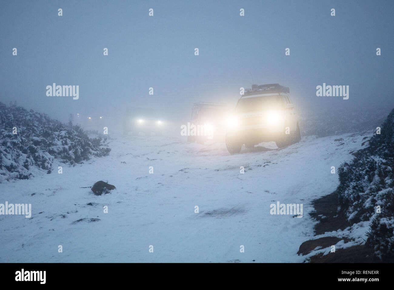 Ein Konvoi von Geländefahrzeugen navigieren Sie eine verschneite Spur in dichtem Nebel. Houndkirk Straße, Peak District National Park, Sheffield, South Yorkshire, Ger Stockfoto