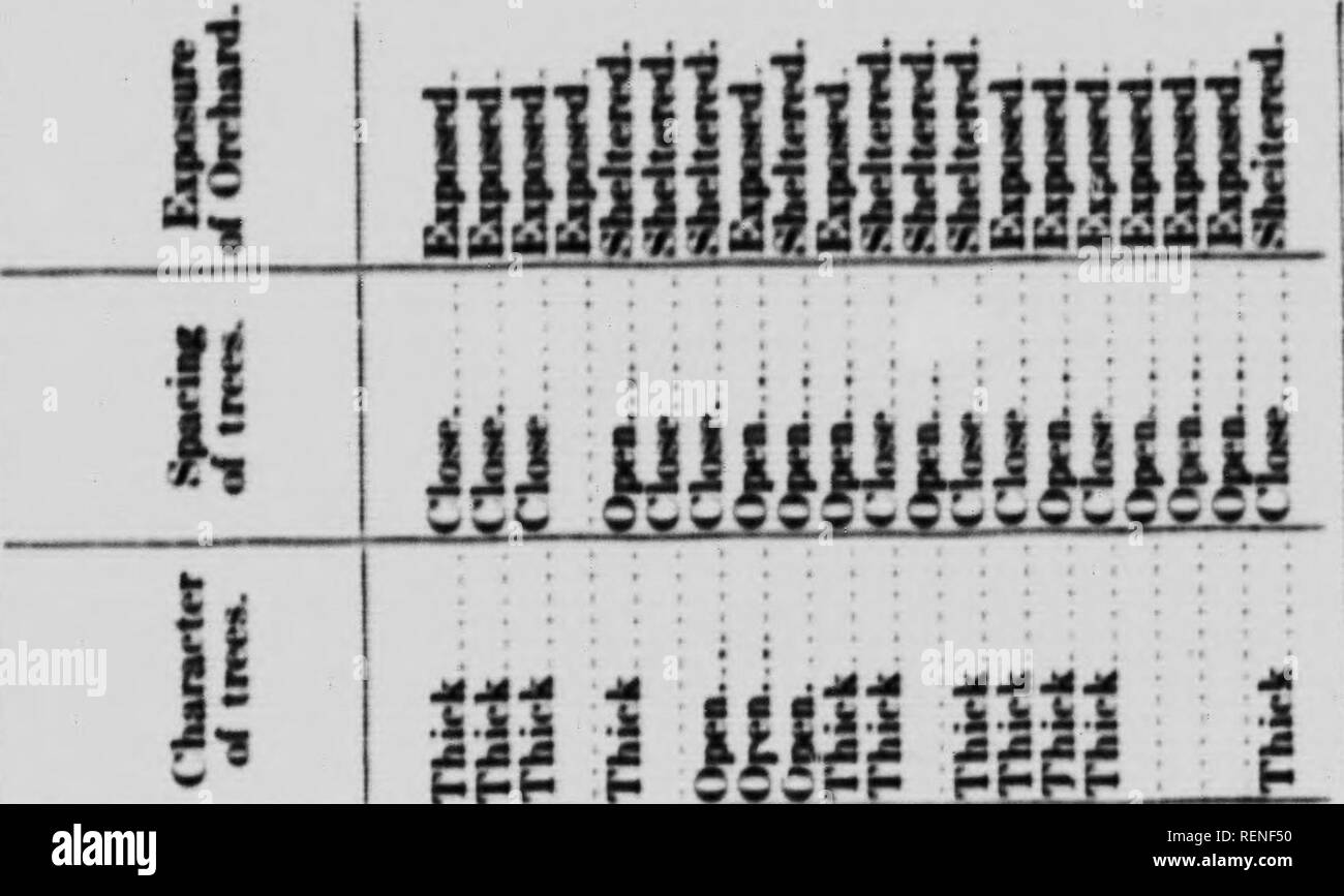 . Ergebnisse vom Sprühen in Nova Scotia [microform]. Früchte; PulvÃ©risation et poudrage en Landwirtschaft ; Obst ; Spritzen und Abstauben in der Landwirtschaft. Ich m Urn X. o t2U - 0 s s&gt; ich e8a!. 1 1 n I I I J 1: Ist Â £ niMmmm. t&gt;^'^'!^ &Lt;^^V!^ || l l | l: l |, 1l |. II.5 Ji .1 a; A "f.?. Ich 5252 t!Â"''---" In ich Hi r't I .9 8. St x Si'-41 5?^ M rt rt tc M ich M*w w w M?i m m e n-i N Â"Â"^*^X5 SS5 Si; 5:3 $ 8 SSJSg RSSS 2* â Â "pso - 22222 S 22 S I 3 I Bitte beachten Sie, dass diese Bilder aus gescannten Seite Bilder, die digital für die Lesbarkeit verbessert haben mögen - Färbung und Erscheinungsbild der extrahiert werden Stockfoto