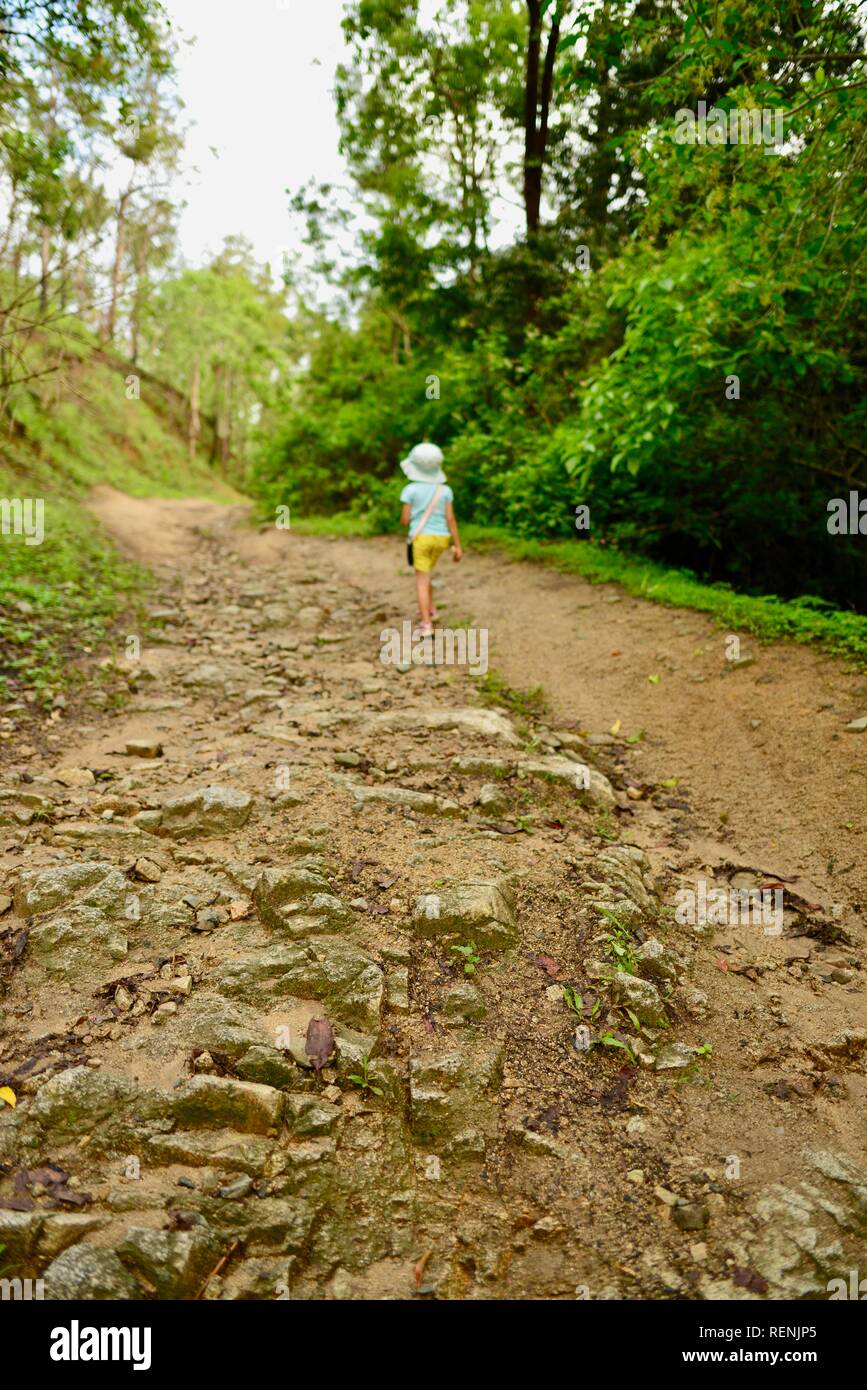 Kinder entlang eine Allradantrieb Anschluss durch einen Wald, Mia Mia State Forest, Queensland, Australien Stockfoto