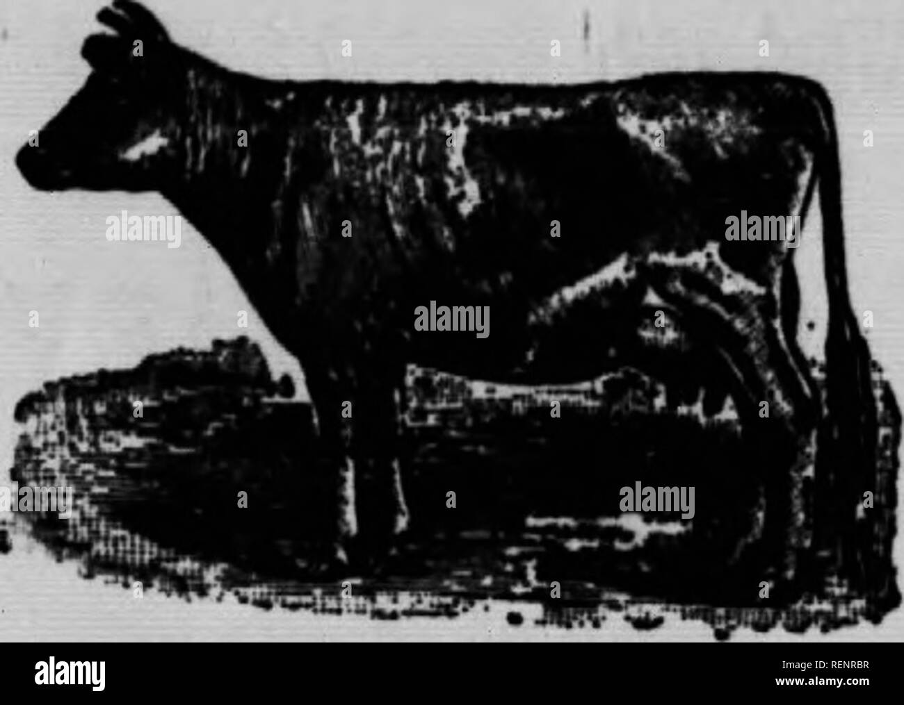 . Der Tierarzt. buchen, oder Tier Arzt [microform]. Pferde; Bétail; Chevaux; Veterinärmedizin; Nutztiere; Médecine vétérinaire. Für wooirii urf Xmtt uw "Dr. Cluk'* Bwb-Win Liniment" mehr Lob für Dr. Clark's Veterinary RECHTSMITTEL. "Sie machen die Arbeit "Meine Herren: Ranfurly, Alta, 31.01.9,1911. 1 Haben einige Ihrer Hilfsmittel benutzt und ich muss sagen, ich fand sie zu tun, was das Etikett sagt thoy tun wird. Ich kann die gute Arbeit, die bezeugen, dass Dr. CUA' ich Huf Salbe tut, und ich immer im Stall. Sie respektvoll, H. DOHERTY. "Nicht heißen, DASS ES SO VIEL "Sehr geehrte Damen und Herren: La Stockfoto