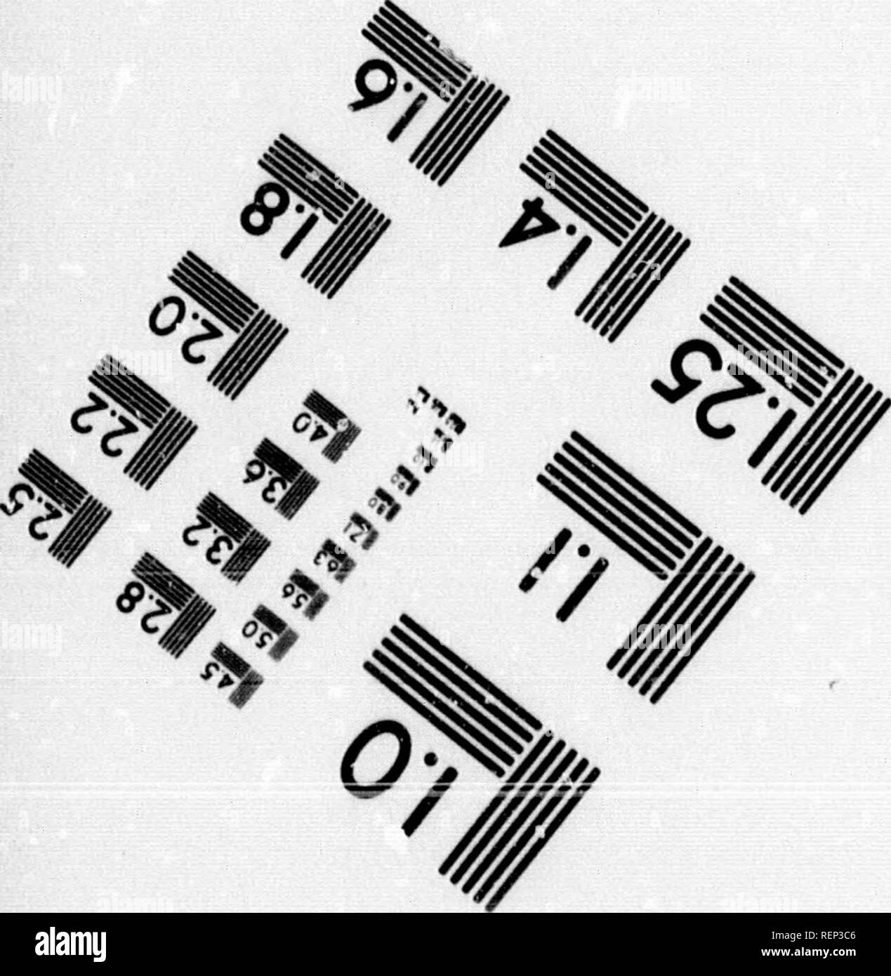 . Geschichte der Expedition unter dem Kommando von Lewis und Clark, zu den Quellen des Missouri River, von dort über die Rocky Mountains und die Columbia River bis zum Pazifischen Ozean [microform]: In den Jahren 1804-5-6 im Auftrag der Regierung der Vereinigten Staaten durchgeführt werden. Lewis und Clark Expedition; Lewis und Clark Expedition; Botanik; Zoologie; Botanique; Zoologie; Indianer Nordamerikas; Indiens d'AmÃ©rique. 4^^ 1.0 I.I | 50^^ |!T | 3.2 12,5 M 1,8 lUI 111^llllli. 6. rnuujgicipniC Sciences Corporation 23 WEST MAIN STREET WEBSTER, NEW YORK 14580 (716) 87 ^-4503 4? V iV 9) V;â '^' G Stockfoto