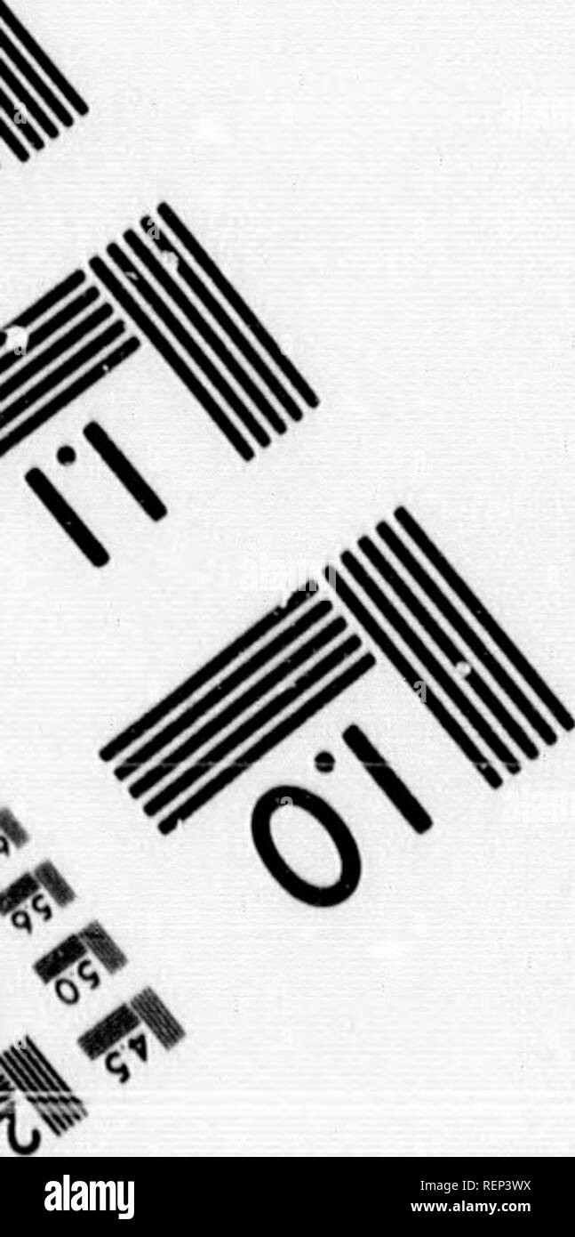 . Geschichte der Expedition unter dem Kommando von Lewis und Clark, zu den Quellen des Missouri River, von dort über die Rocky Mountains und die Columbia River bis zum Pazifischen Ozean [microform]: In den Jahren 1804-5-6 im Auftrag der Regierung der Vereinigten Staaten durchgeführt werden. Lewis und Clark Expedition; Lewis und Clark Expedition; Botanik; Zoologie; Botanique; Zoologie; Indianer Nordamerikas; Indiens d'In. 0 % '^. Bitte beachten Sie, dass diese Bilder aus gescannten Seite Bilder, die digital für die Lesbarkeit verbessert haben mögen - Färbung und Aussehen dieser illust extrahiert werden Stockfoto