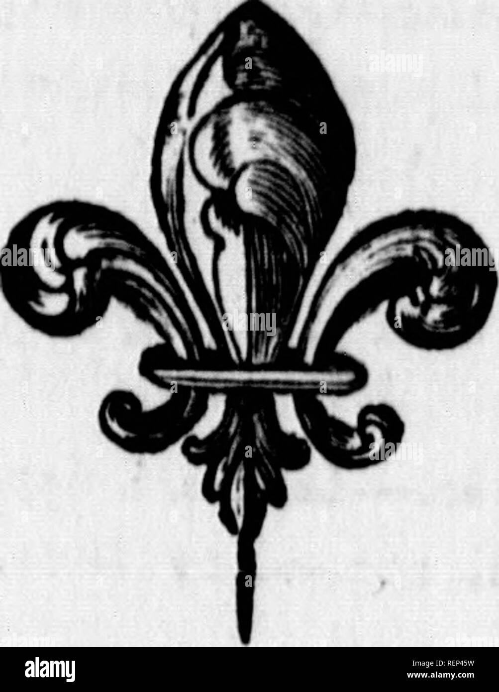 . Arktis Zoologie [microform]. Zoologie; Zoologie. 328 Pla CI. Europäischen EISVOGEL. Banken, dringt tief in Ihnen in einer horizontalen diredion. Legt vier weiße Eier, die difcharge der Junge im Juni. Es wandert in Mexiko; ist es gegessen, ist aber obferved ihe Ruhm pifcivorous ranknefs wie andere Vögel zu haben.. A. Europäischer Eisvogel, Br. Zool. I N "9 Z^Latham, ich. 626. Le Martin-Pecheur, Buffon, vii. 164 PI. Enl.jj. Alcedo Ifpida, Lin. Syjl. 179 - Lev. Mus. J^^ mit der Krone und Verstecke der Flügel, der ein tiefes Grün, fpotted mit Cerulean: fcapulars und zurück Helle cserulean: Schwanz satten, tiefen Blu Stockfoto