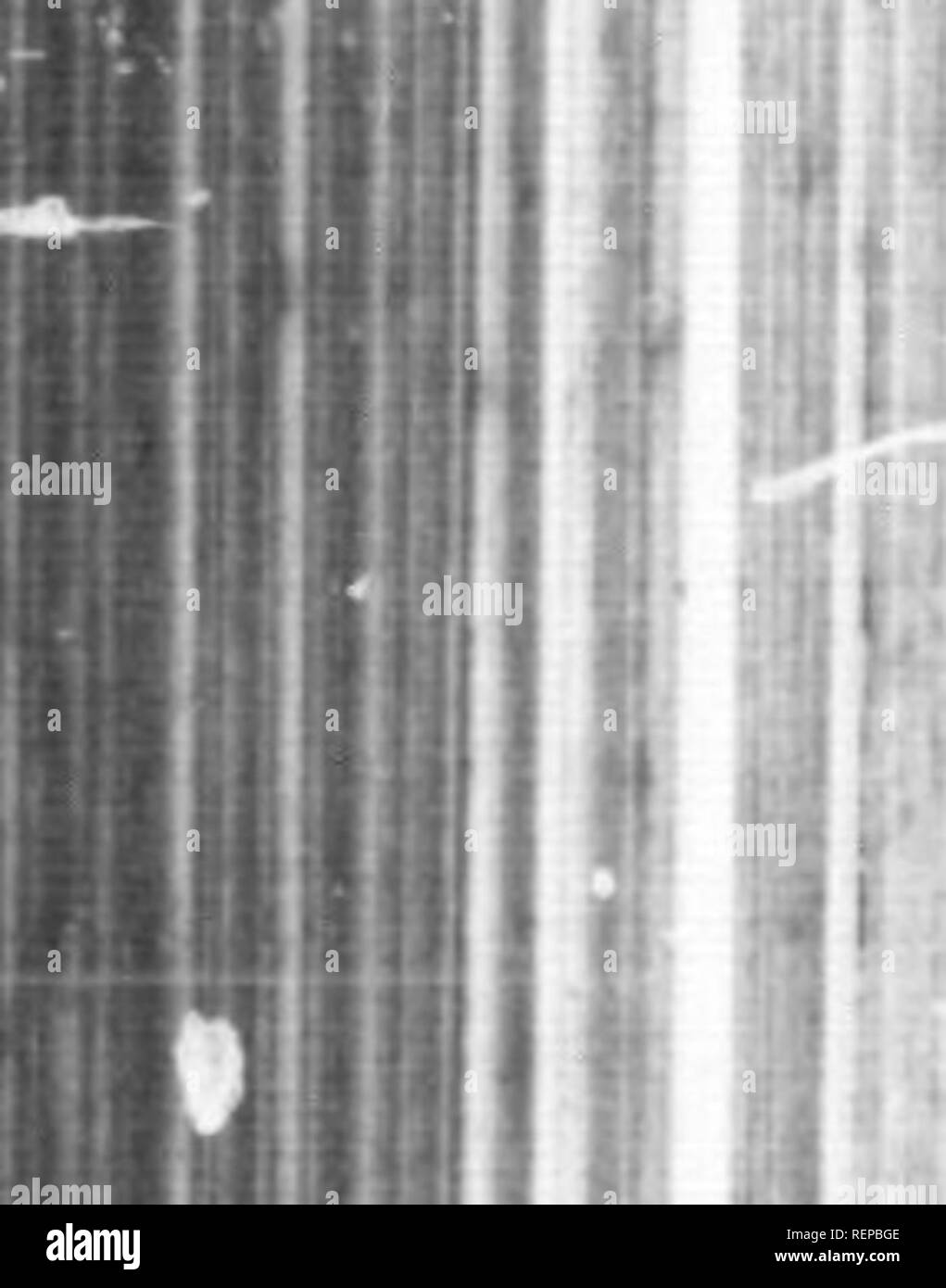 . Voyages et découvertes Outre Mer au XIXe siècle [microforme]. In; Expéditions scientifiques; wissenschaftliche Expeditionen. IWMW^^^ fi".!. l i1 i n. Bitte beachten Sie, dass diese Bilder sind von der gescannten Seite Bilder, die digital für die Lesbarkeit verbessert haben mögen - Färbung und Aussehen dieser Abbildungen können nicht perfekt dem Original ähneln. extrahiert. Mangin, Arthur, 1824-1887. Tours [Frankreich]: A. Mame Stockfoto